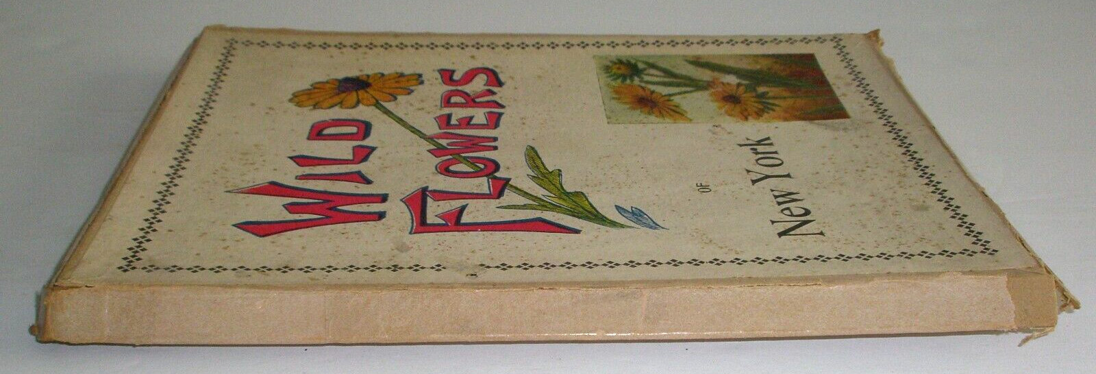 Wild Flowers of New York 1912 Chester Reed Mohonk Lake NY Illustrated w/box