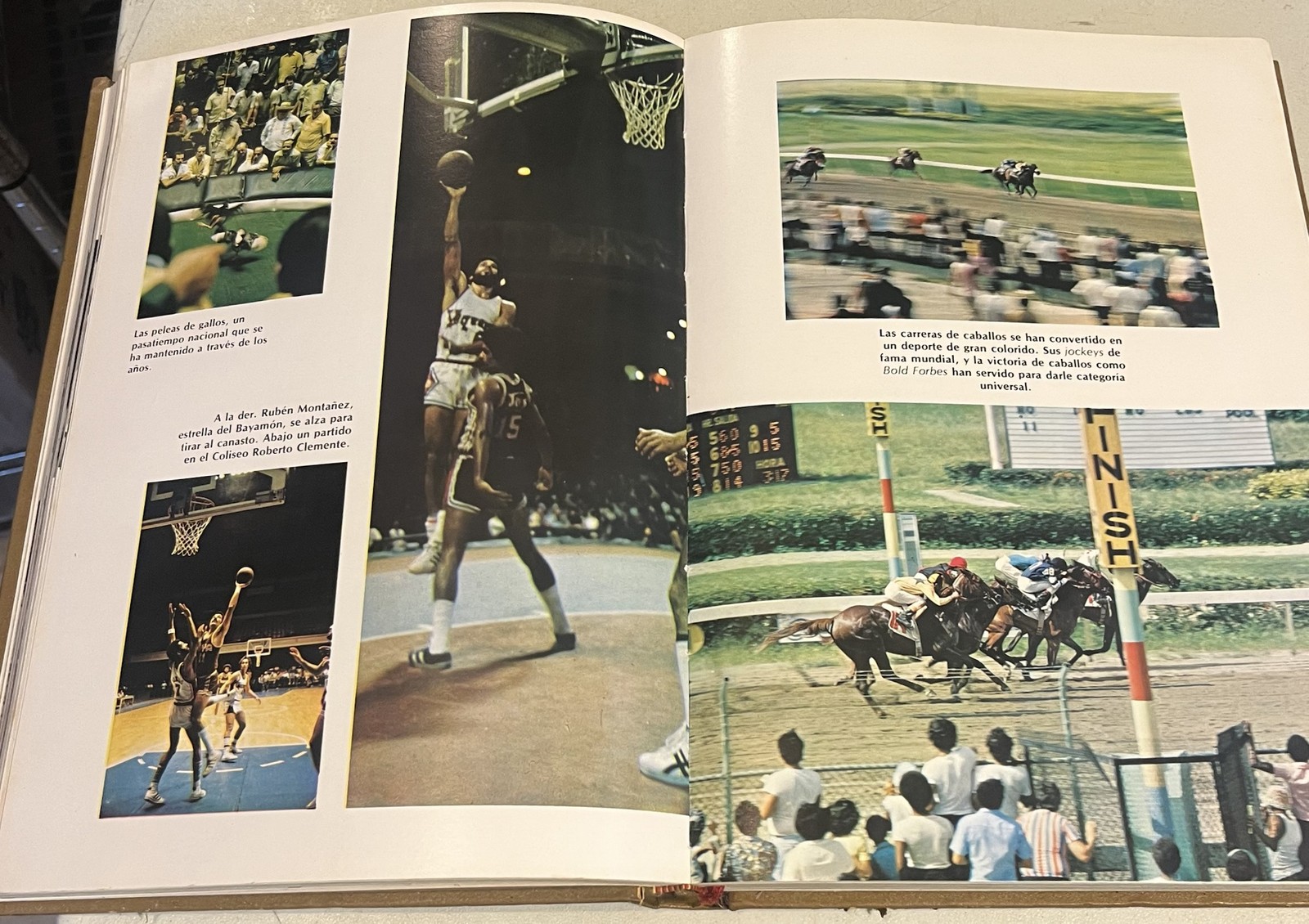 La gran enciclopedia de Puerto Rico. Tomo 11: Deportes