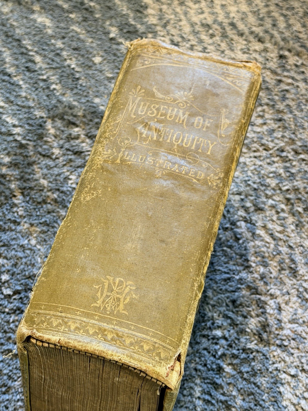 MUSEUM OF ANTIQUITY Vintage Hardcover Book Illustrated 1880 Ancient Life