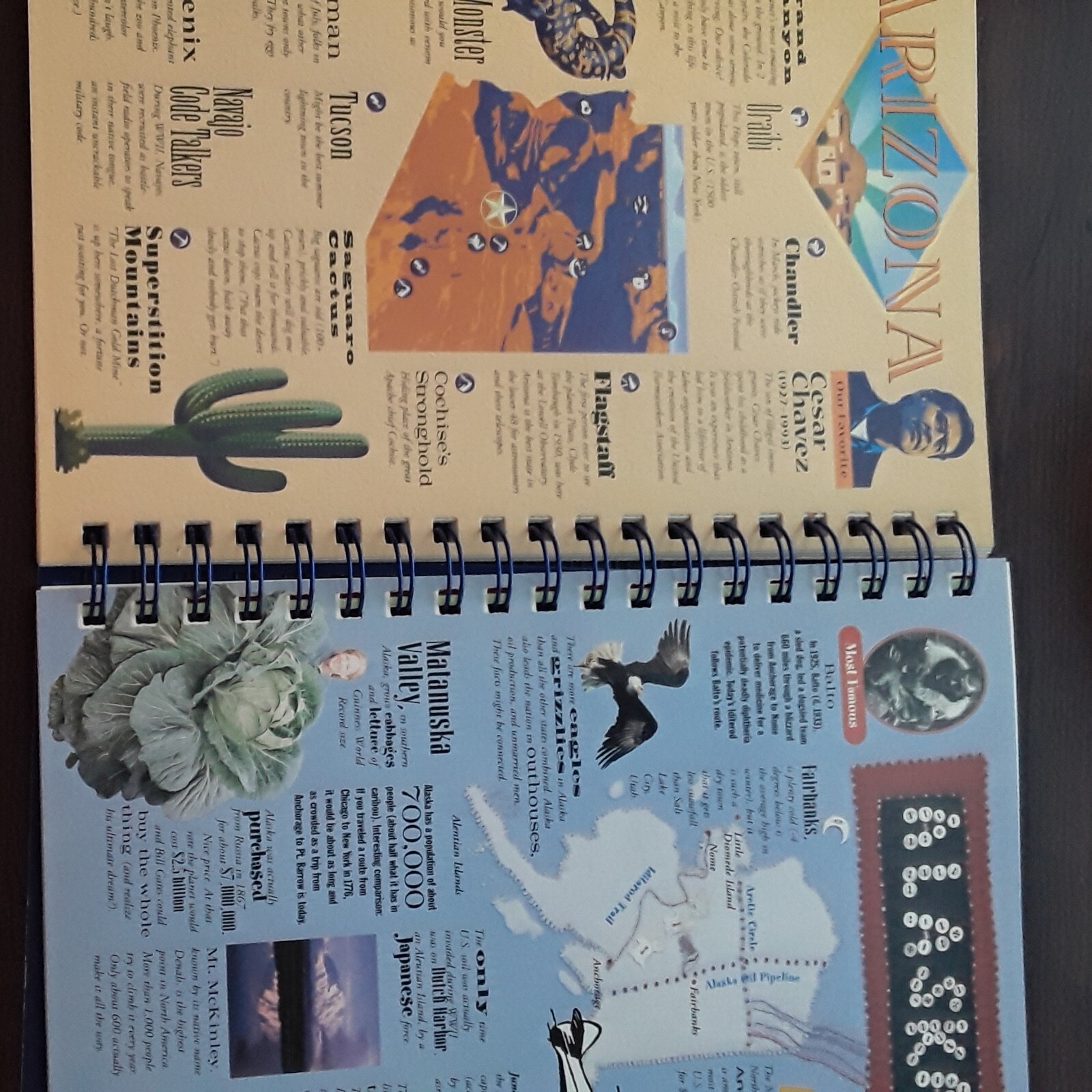 The Completely Amazing Slightly Outrageous State Quarters Atlas And Album