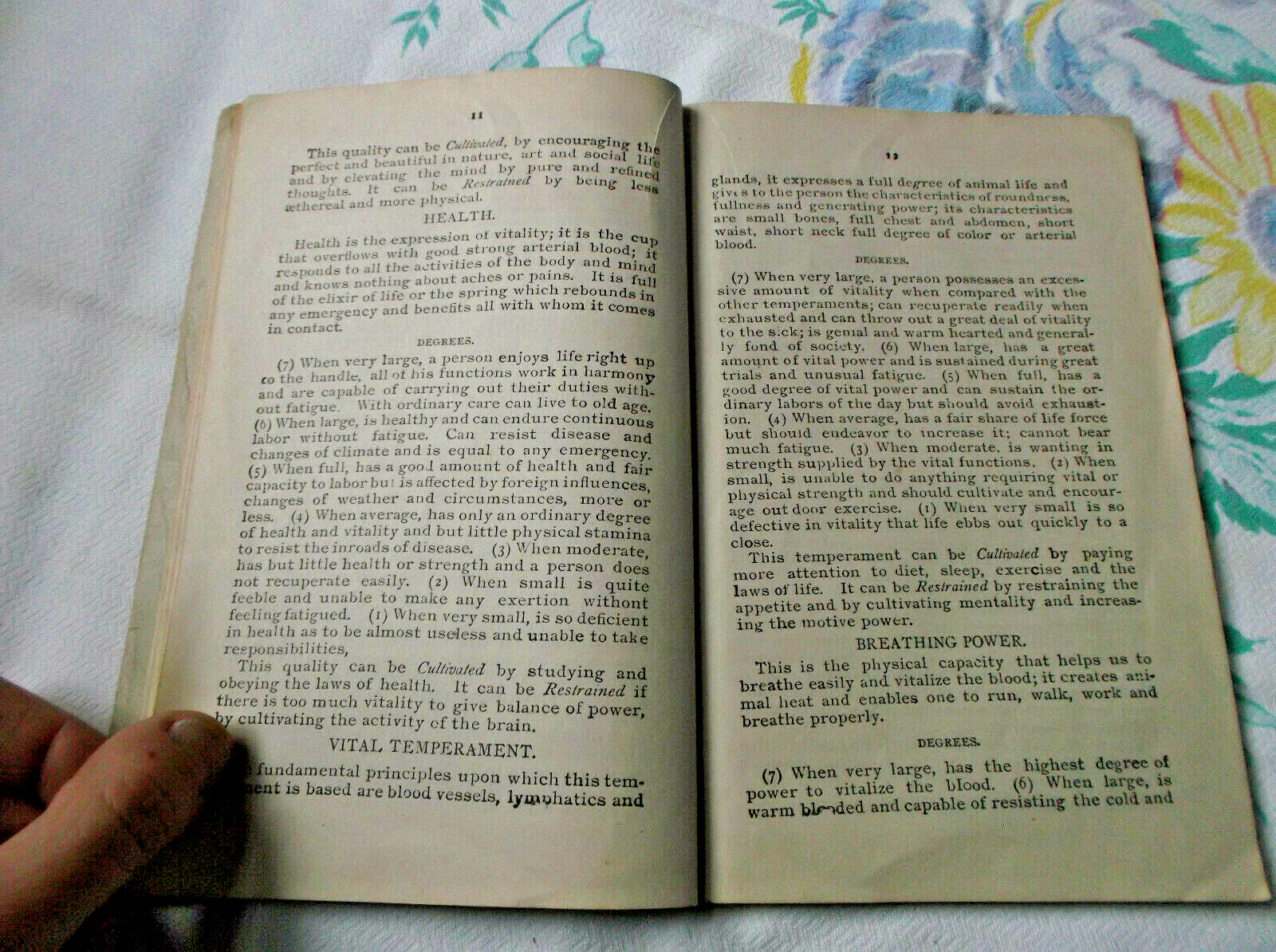 Antique 1900 Fowler’s Phrenology Pamphlet Journal Book Chart Brain Head Science