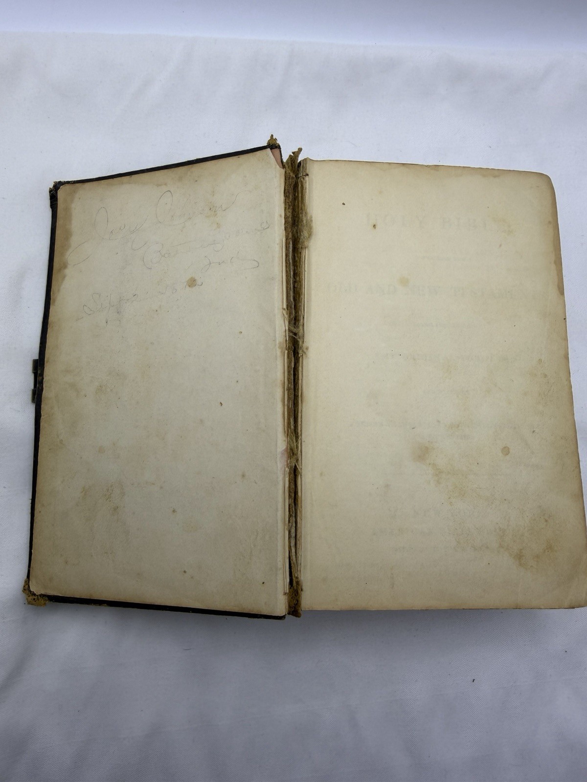 Holy Bible New & Old Testaments Orig Tongues New York American Bible S. 1866
