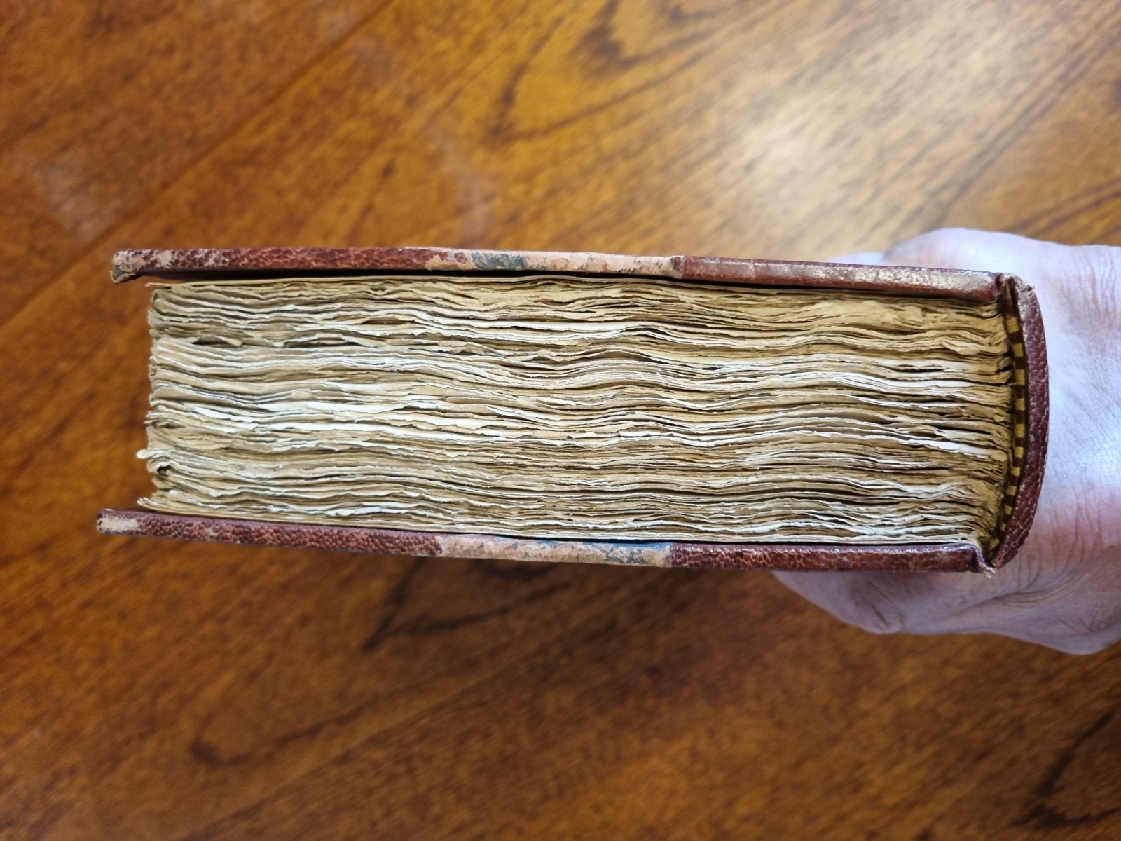 Bewick, Thomas. A General History of Quadrupeds 1807. Imperial paper issue.