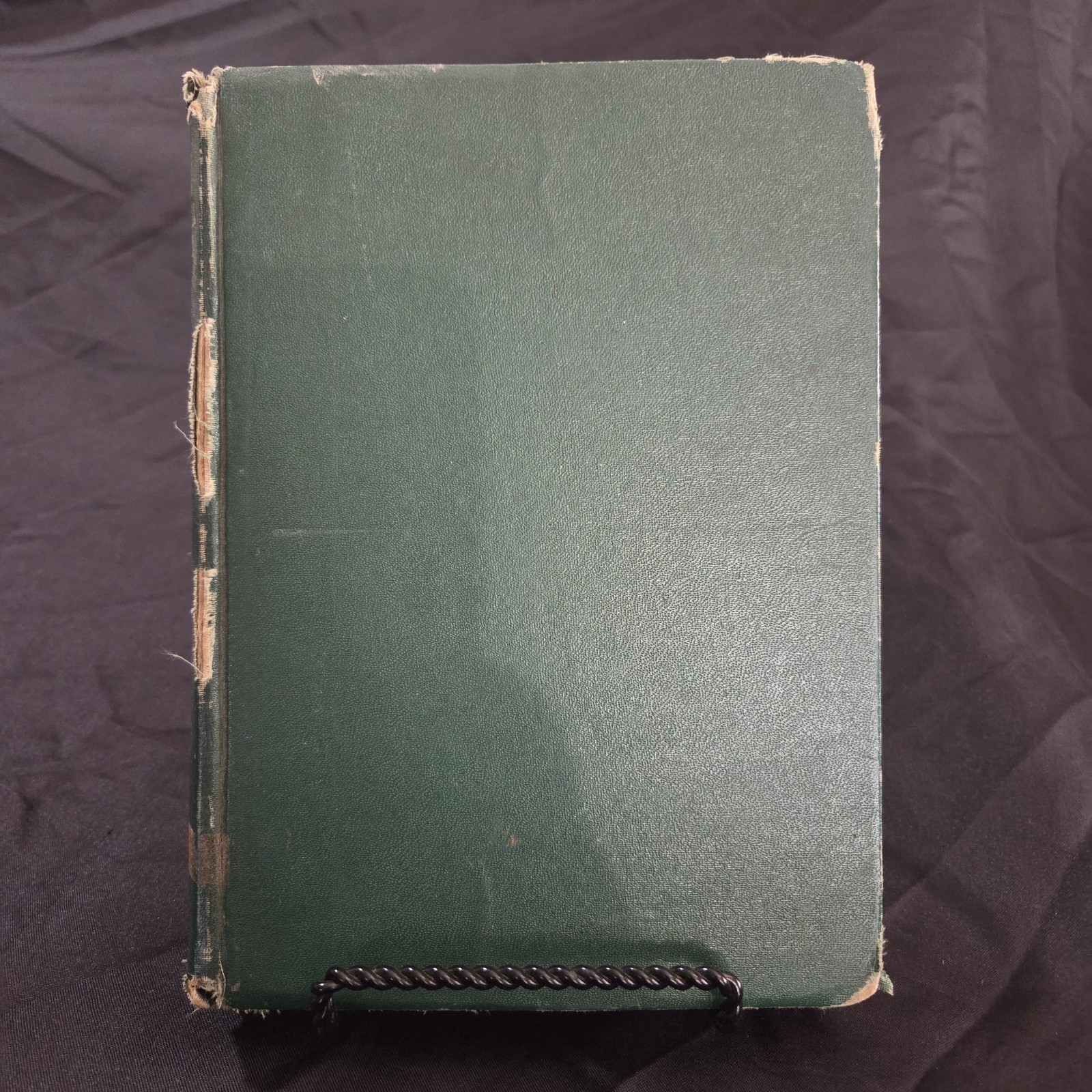 1938 Lazy Liza Lizard Marie Curtis Rains Illustrated HC Ex-Library