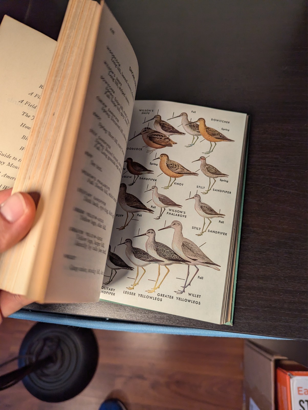 A Field Guide to the Birds : Roger Peterson – Audubon – 1947 Printing See Video