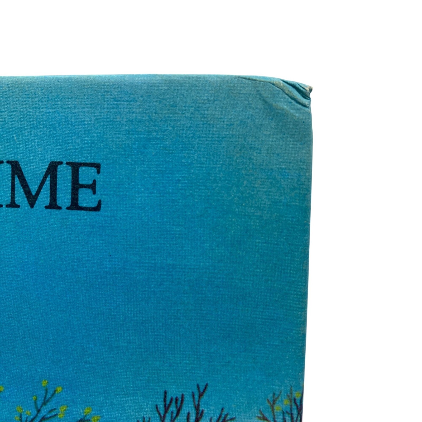 Twice Upon A Time Children’s book Irwin Shapiro HB 1973 Xerox VTG