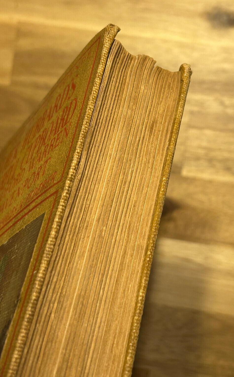Mother Hubbard’s Wonderful Cupboard by Warren and Davenport 1924 Antique 1st Ed.