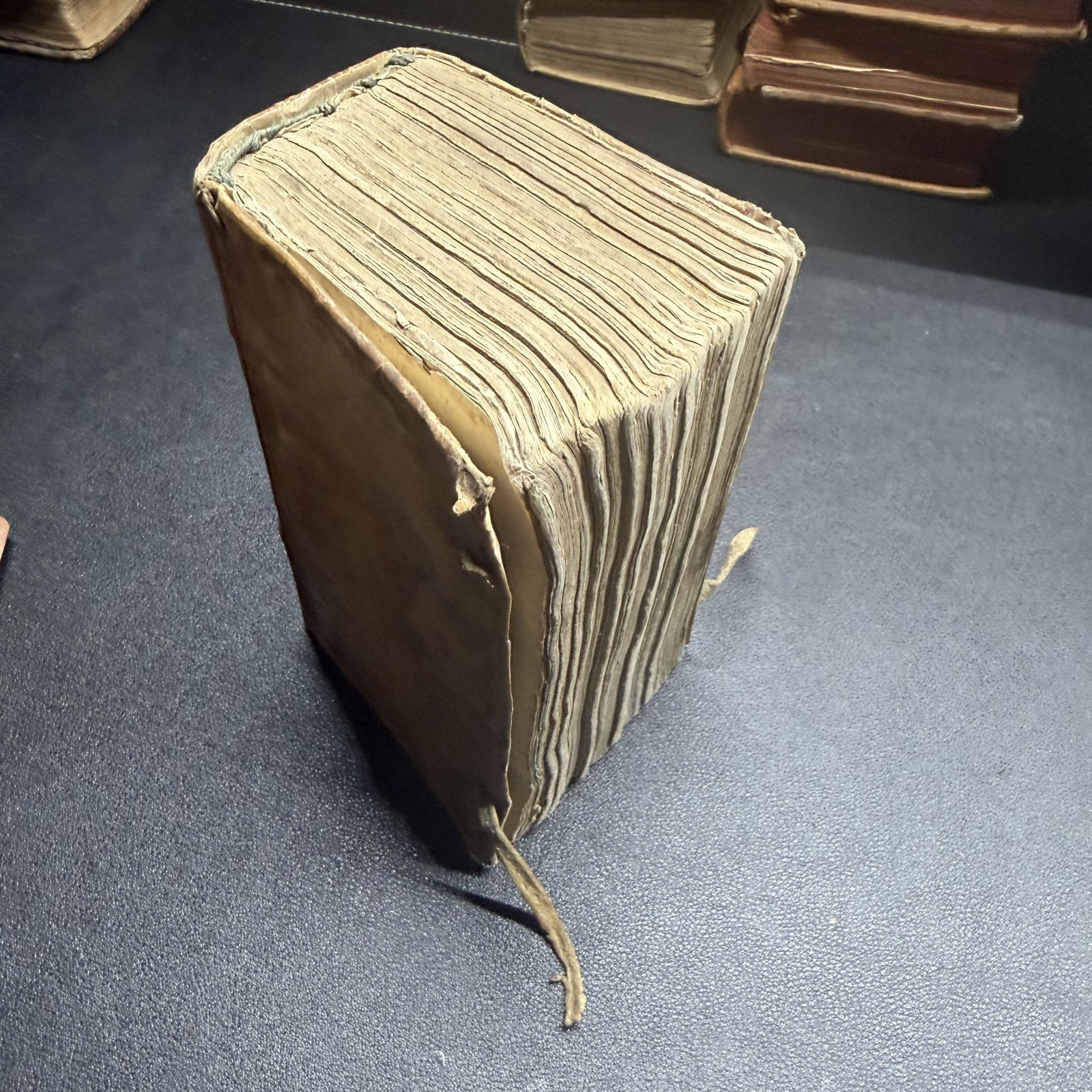 ✝️ 1625 Coeffeteau Magdeleine Penitence French Devotional Vellum Ex-Libris