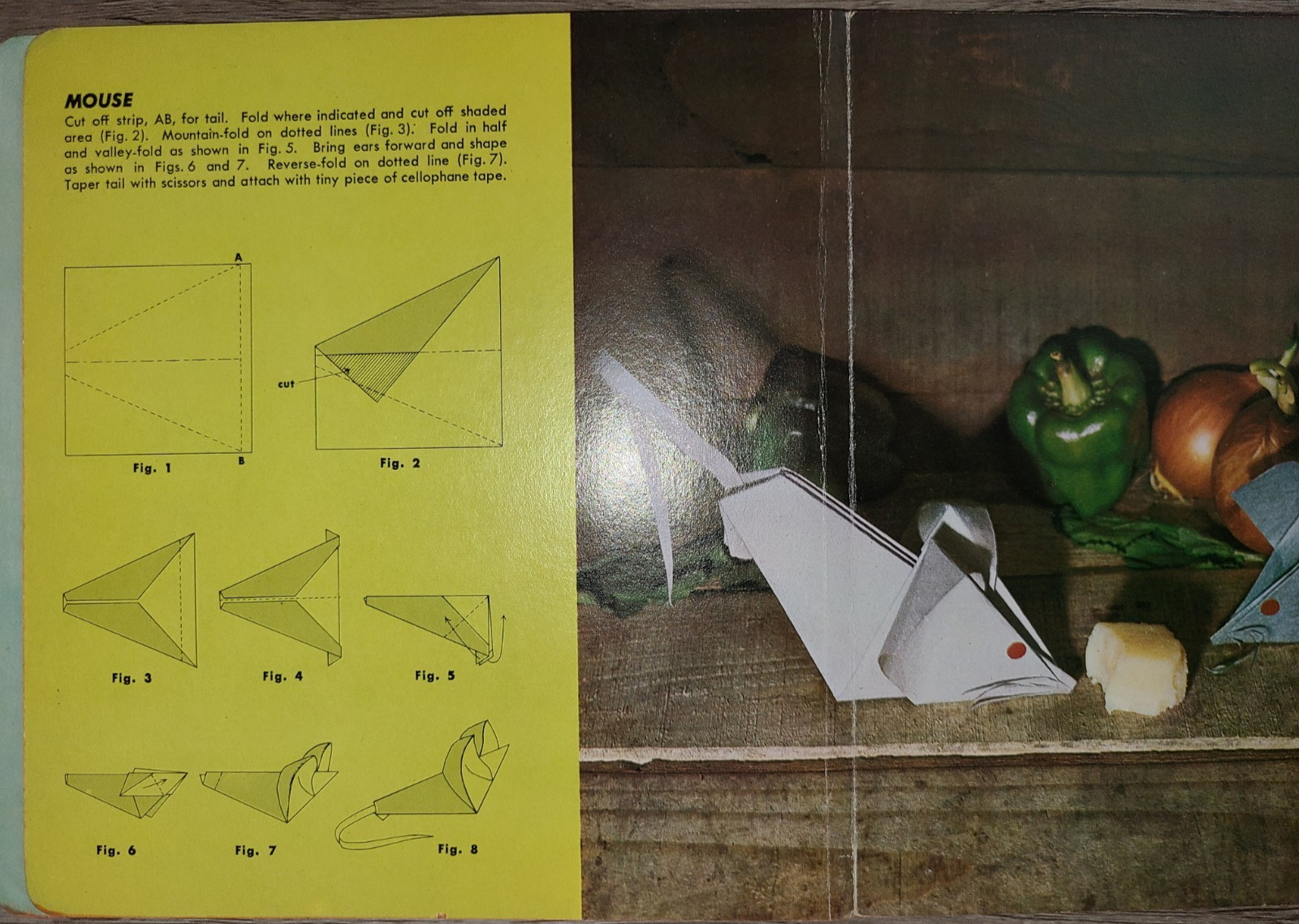Vtg board book, My Origami Animals and Fishes, A Do-it-yourself Paper Menagerie