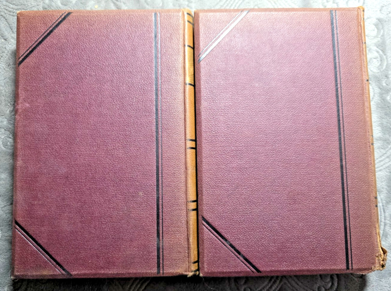 Sir Walter Scott 1883 Subscription Edition 2‑Vol SET Monastery & Bride of Lammer