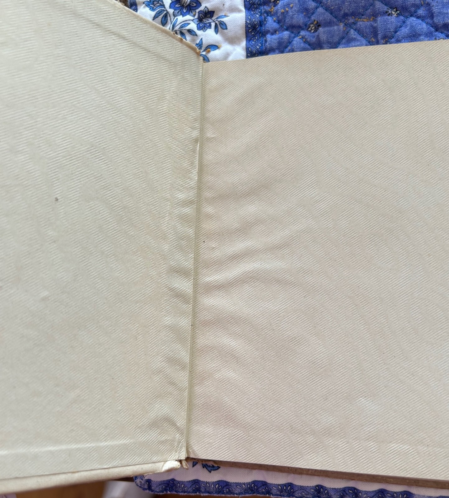 1898 Holly Berries From Dickens Victorian Christmas Book DeWolfe Fiske