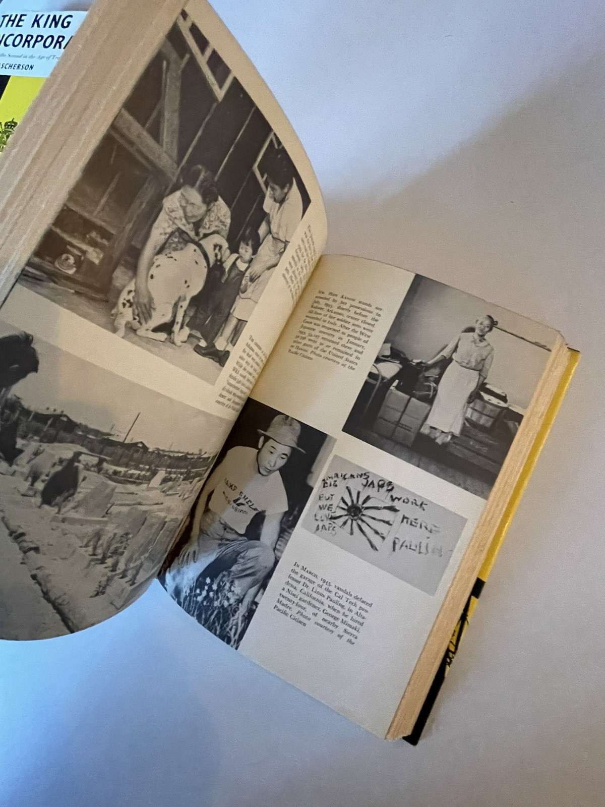 The Great Betrayal Girdner & Loftus 1969 HC DJ Japanese-American Internment