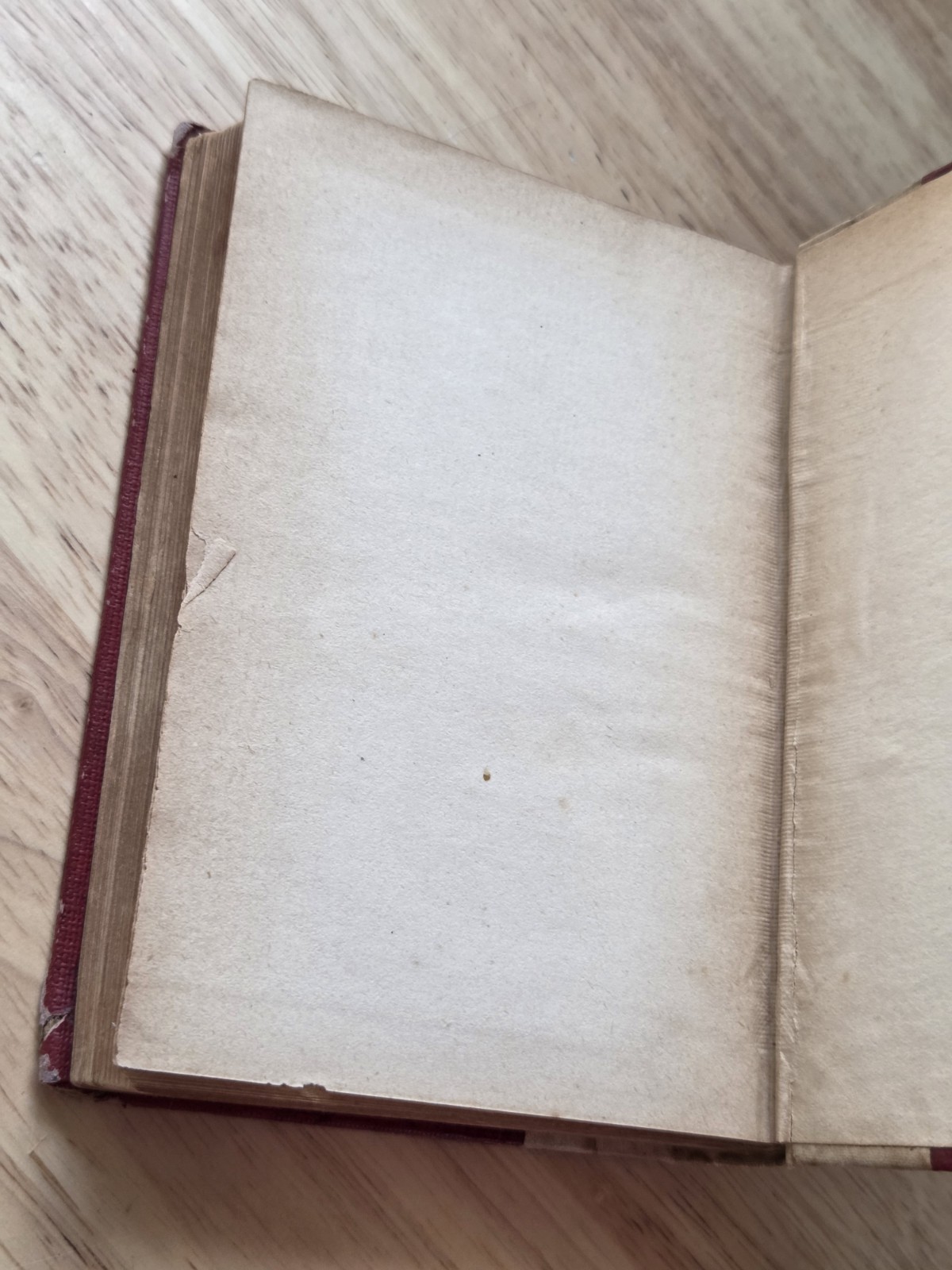 The Scarlet Lette Nathaniel Hawthorne 1892 Edition Henry Altemus Vintage HC