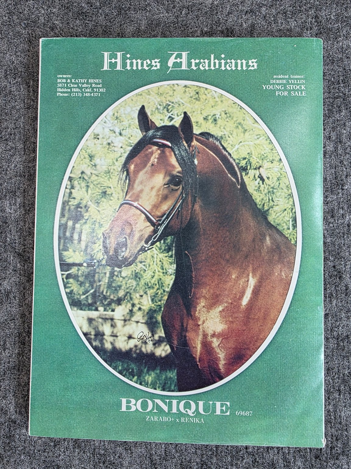 ARABIAN HORSE WORLD May 1975 Vol 15 No 8 Count Dorsaz Bonique Equestrian
