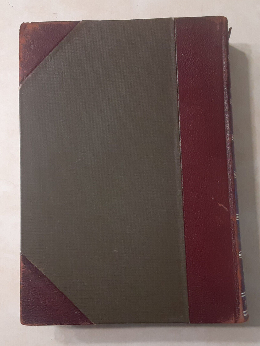 Democratic Party New York State NY History McGuire Vol 2-3 Vintage Antique Books