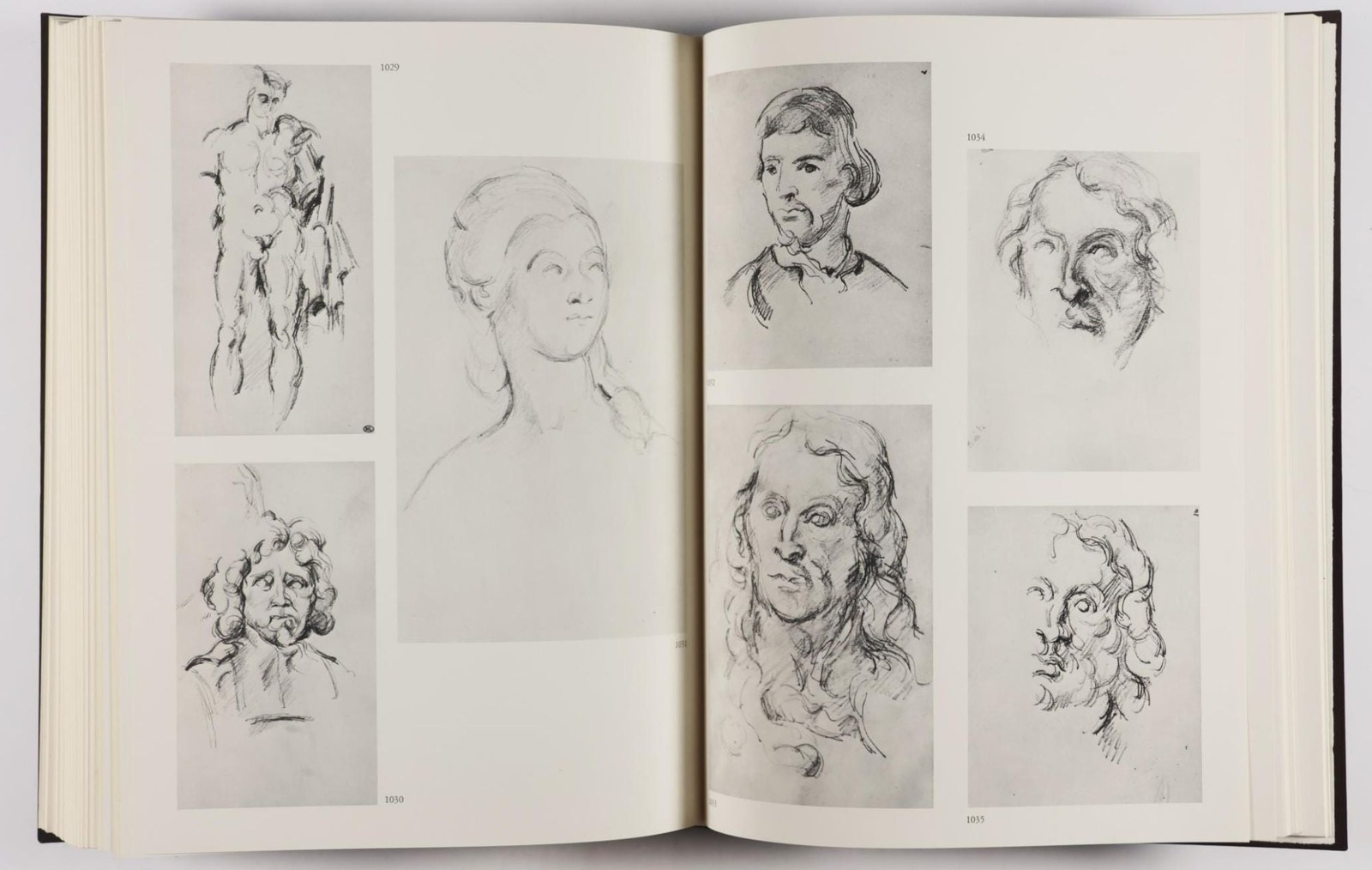 Adrien Chappuis / Drawings of Paul Cézanne Catalogue Raisonné 2 VOLS 1st 1973