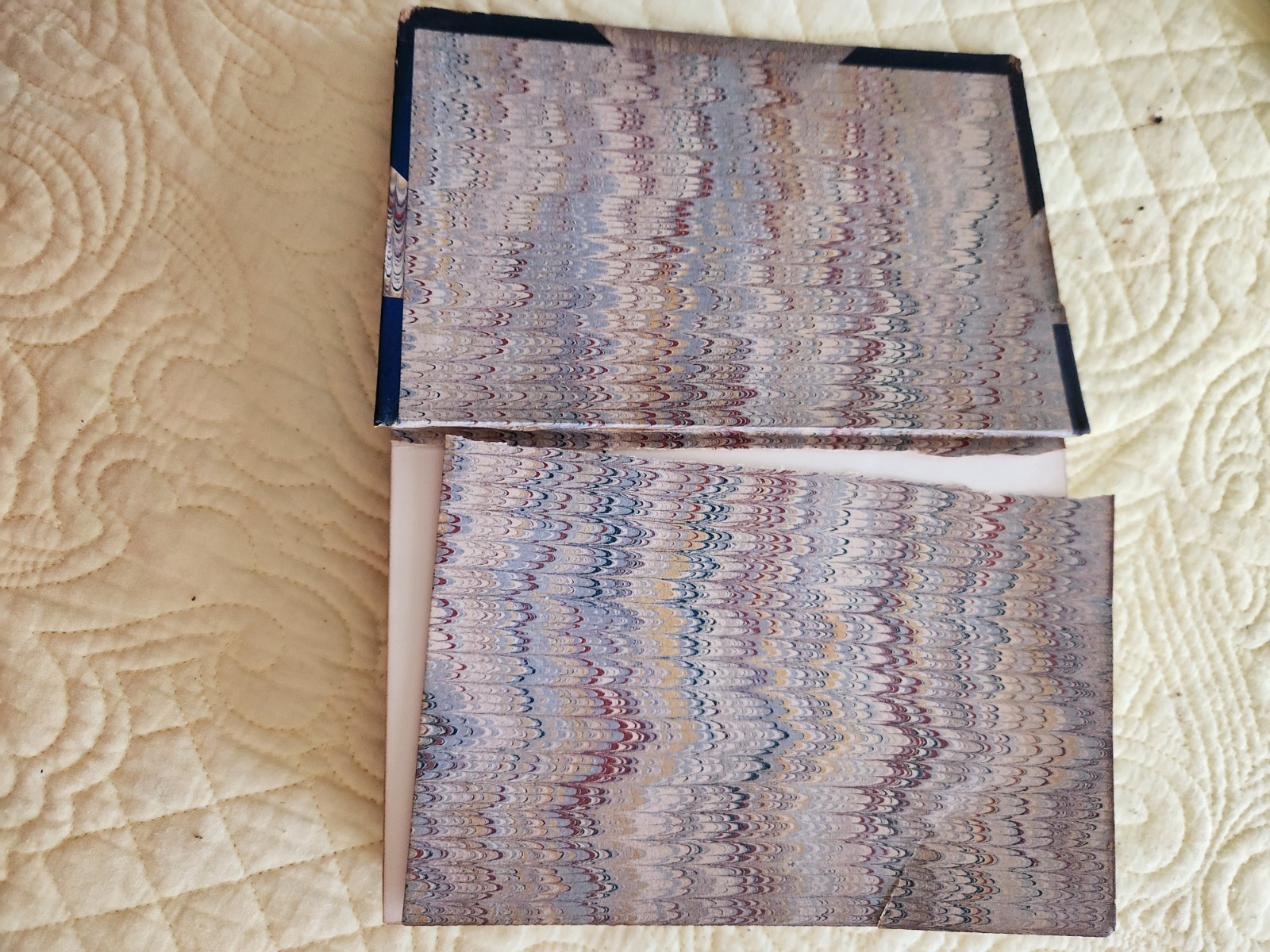 Vintage Charles Dickens, Volumes 1 and 2 of Pickwick Papers
