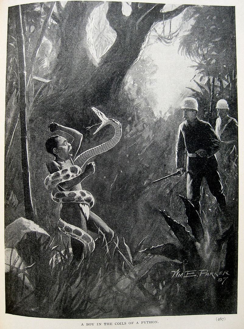 1898 Victorian Exploration Sea Travel Arctic Africa Tropics Safari Wild Animals