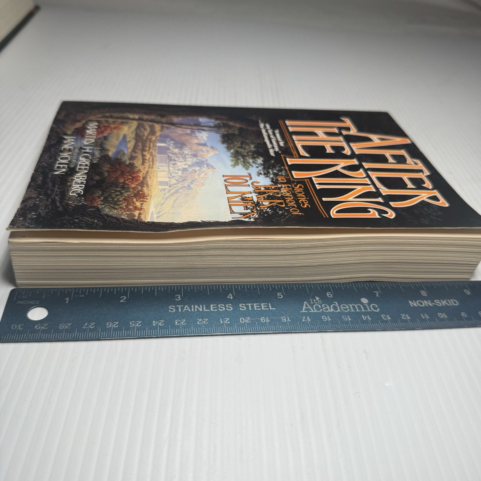 After the King: Stories in Honor of J.R.R. Tolkien Paperback or Softback