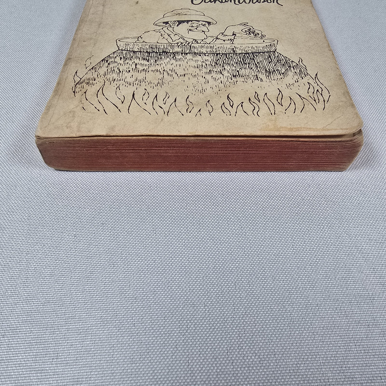 The Man in the Cannibal Pot by Gahan Wilson 1970 Avon 1st Printing Paperback