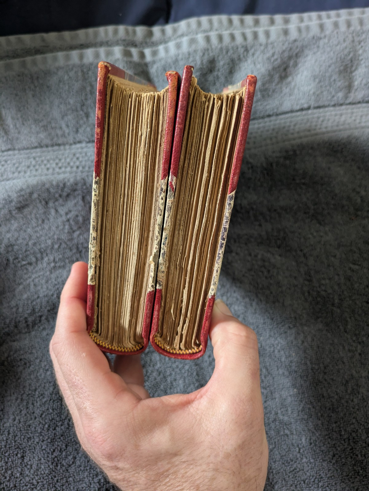 Charles Darwin 2 Volume set 1896 ORIGIN OF SPECIES 1 & 2 Luxury Edition Antique
