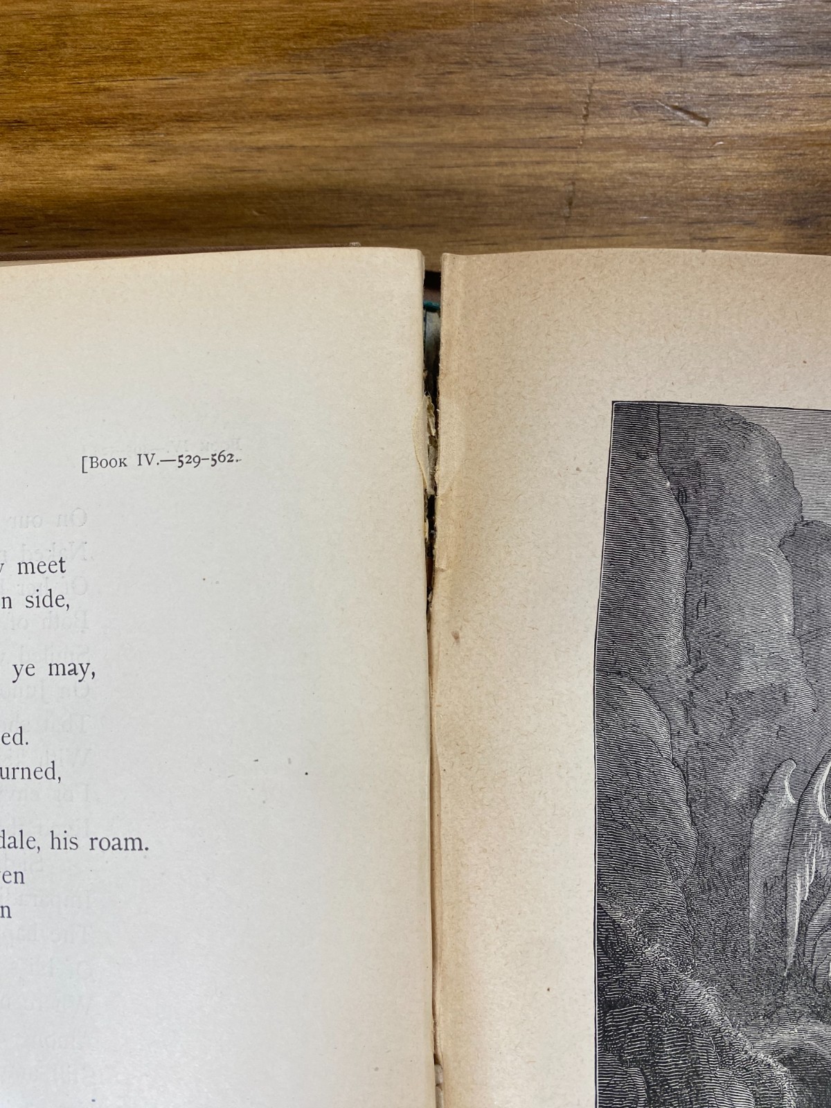 Milton’s Paradise Lost John Milton Gustave Dore Doré Henry Altemus Edition