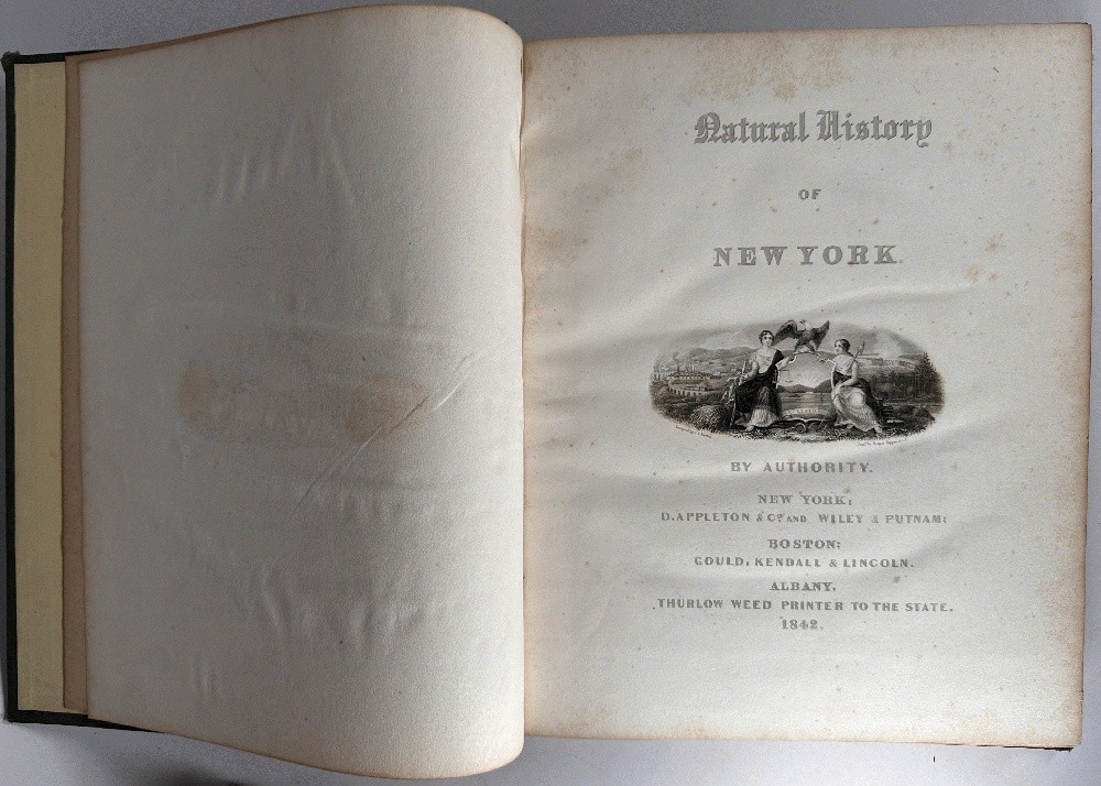 Natural History of New York, Geology of New York Part III Comprising of the Th..