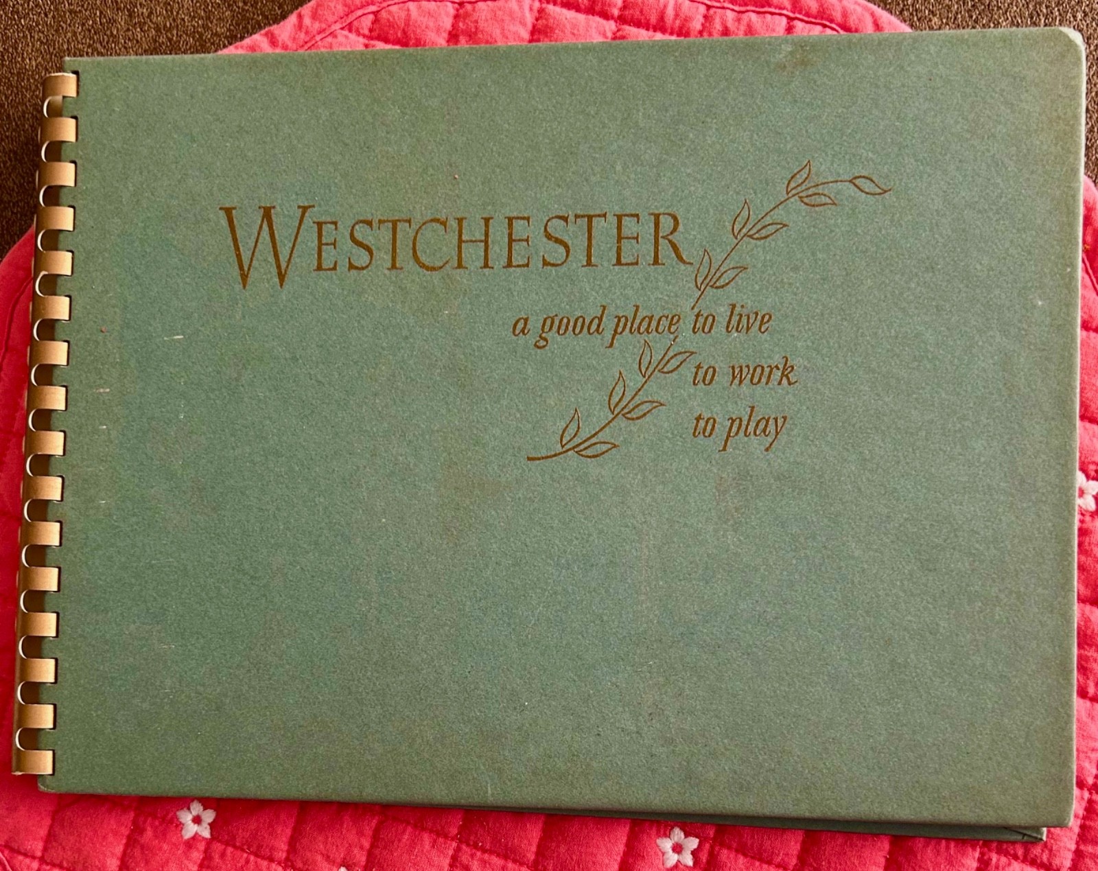 Westchester County New York A Good Place to Live, Work, Play Illustrated book