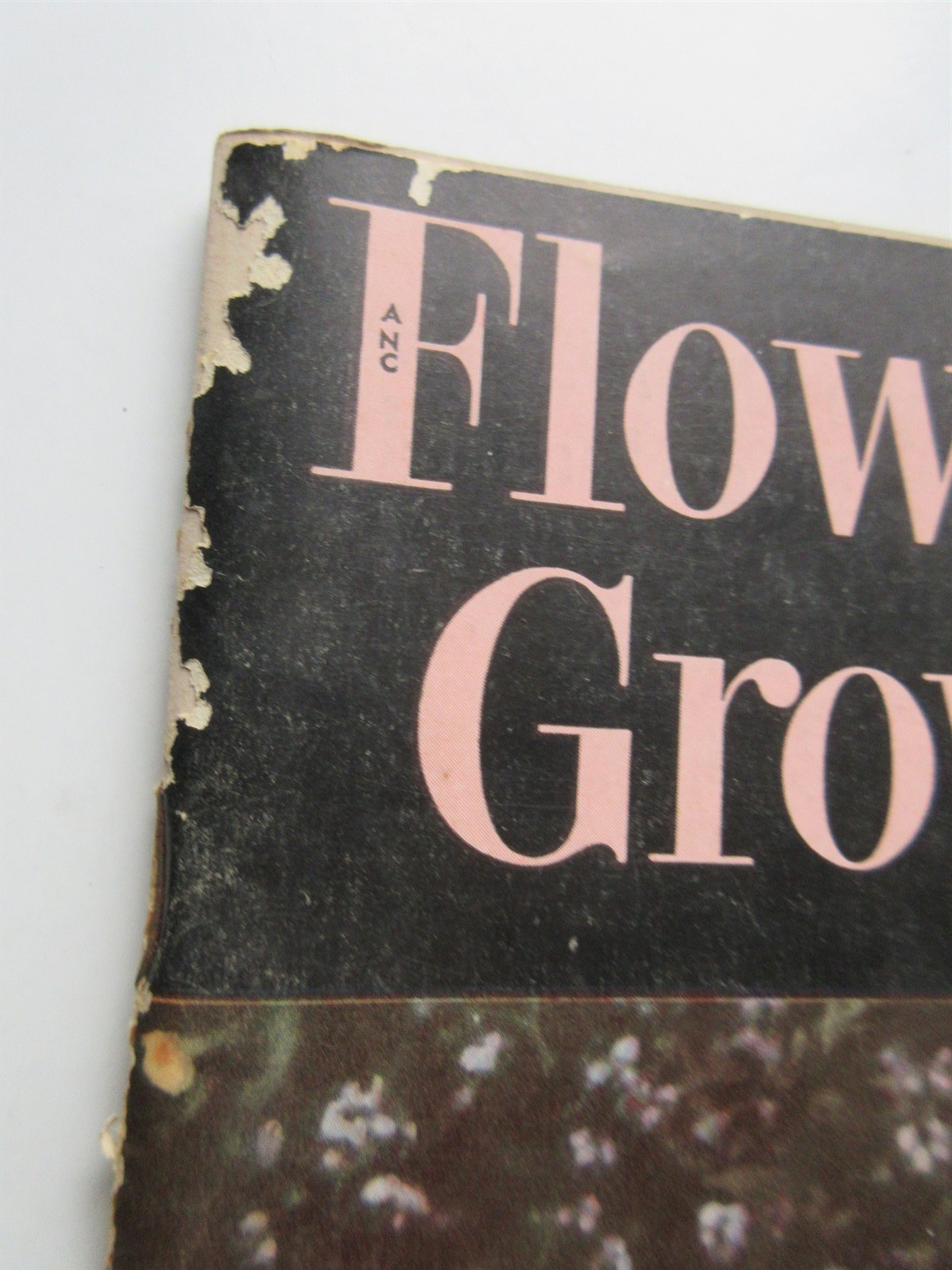 Flower Grower Magazine Vintage March 1953 Spring Planting, Better Soil
