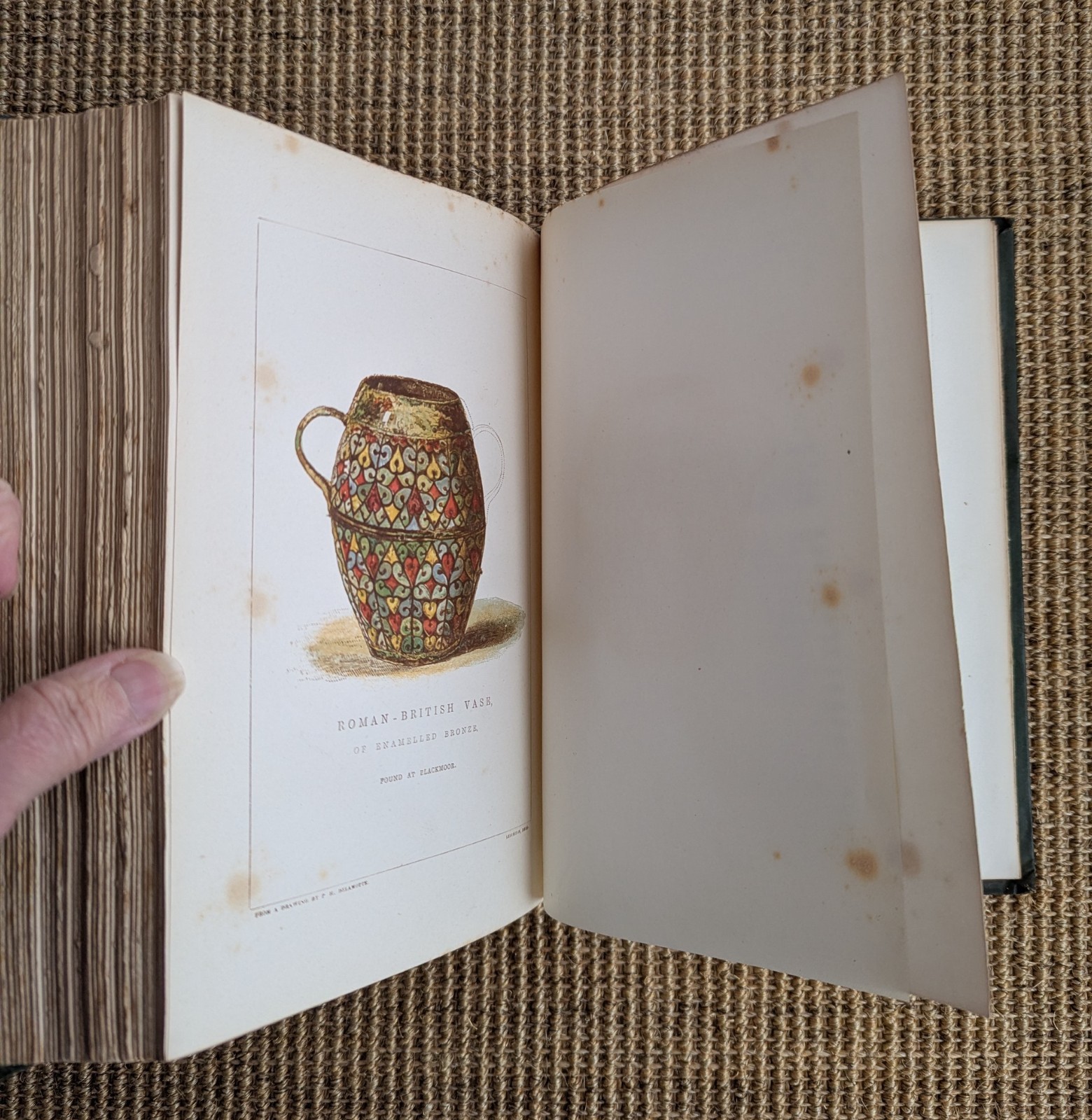 Gilbert White Natural History Antiquities Selborne, Delamotte 1875 Antique Book
