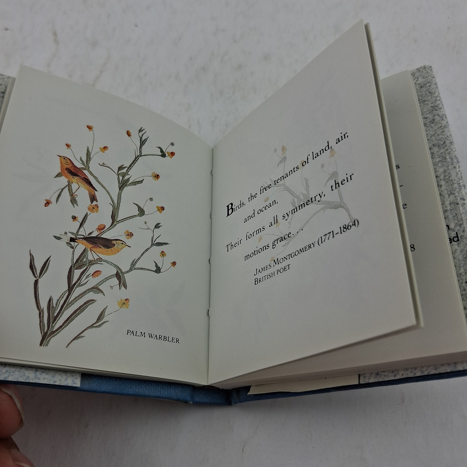 MINIATURE HARDCOVER EDITION AUDUBON’S BIRDS w/ Dust Jacket Running Press 1992