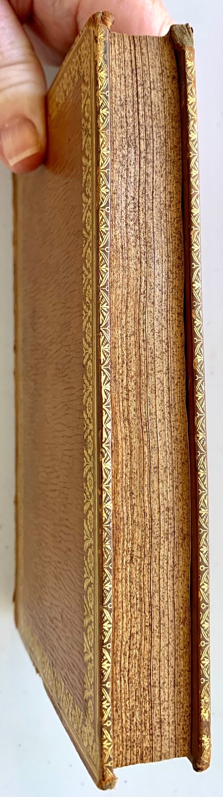 THEODRIC (1824) & PLEASURES OF HOPE (1825) by Thomas Campbell – Fine binding