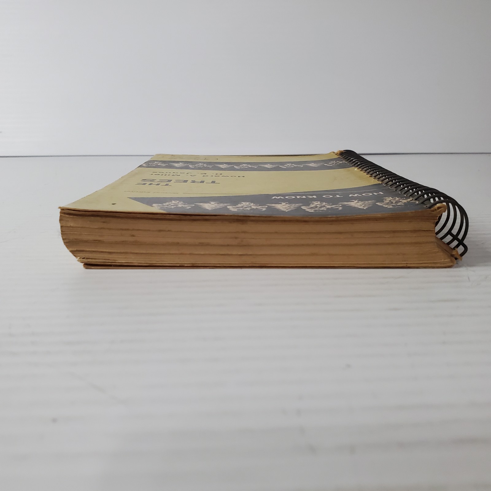 How To Know The Trees Howard Miller H E Jaques Spiral Paperback 2nd Edition 1972