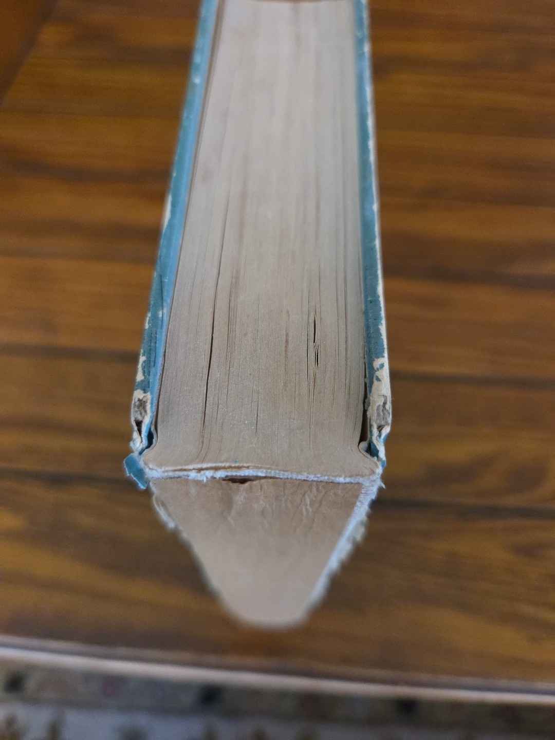 The Blue Fairy Book-Andrew Lang-First Looking Glass Library Edition!-1959-RARE!