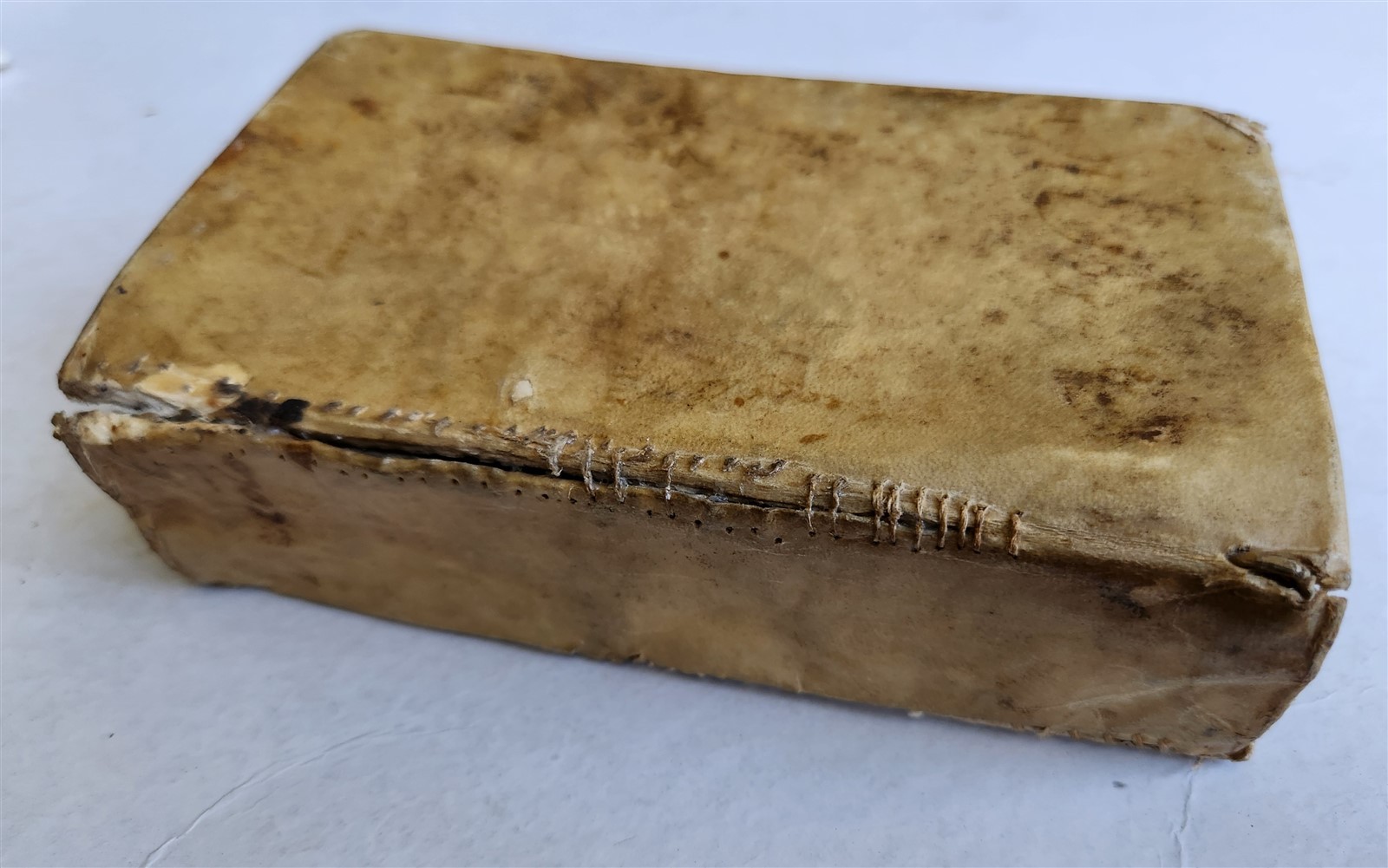 1672 BIBLE in ENGLISH antique 17th CENTURY vellum binding