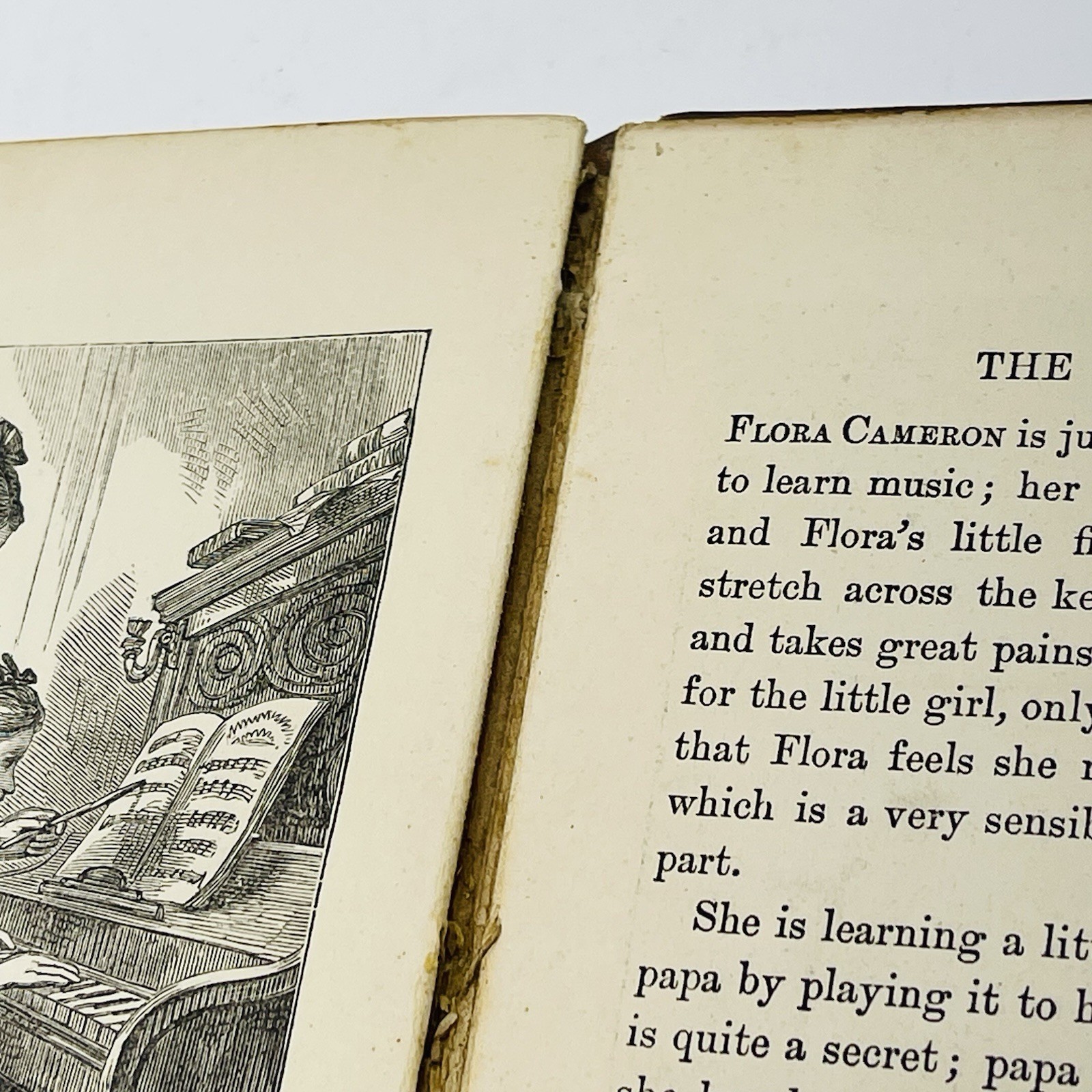 Pet’s Posy of Pictures & Stories 1800’s Antique Victorian Children’s Book HC
