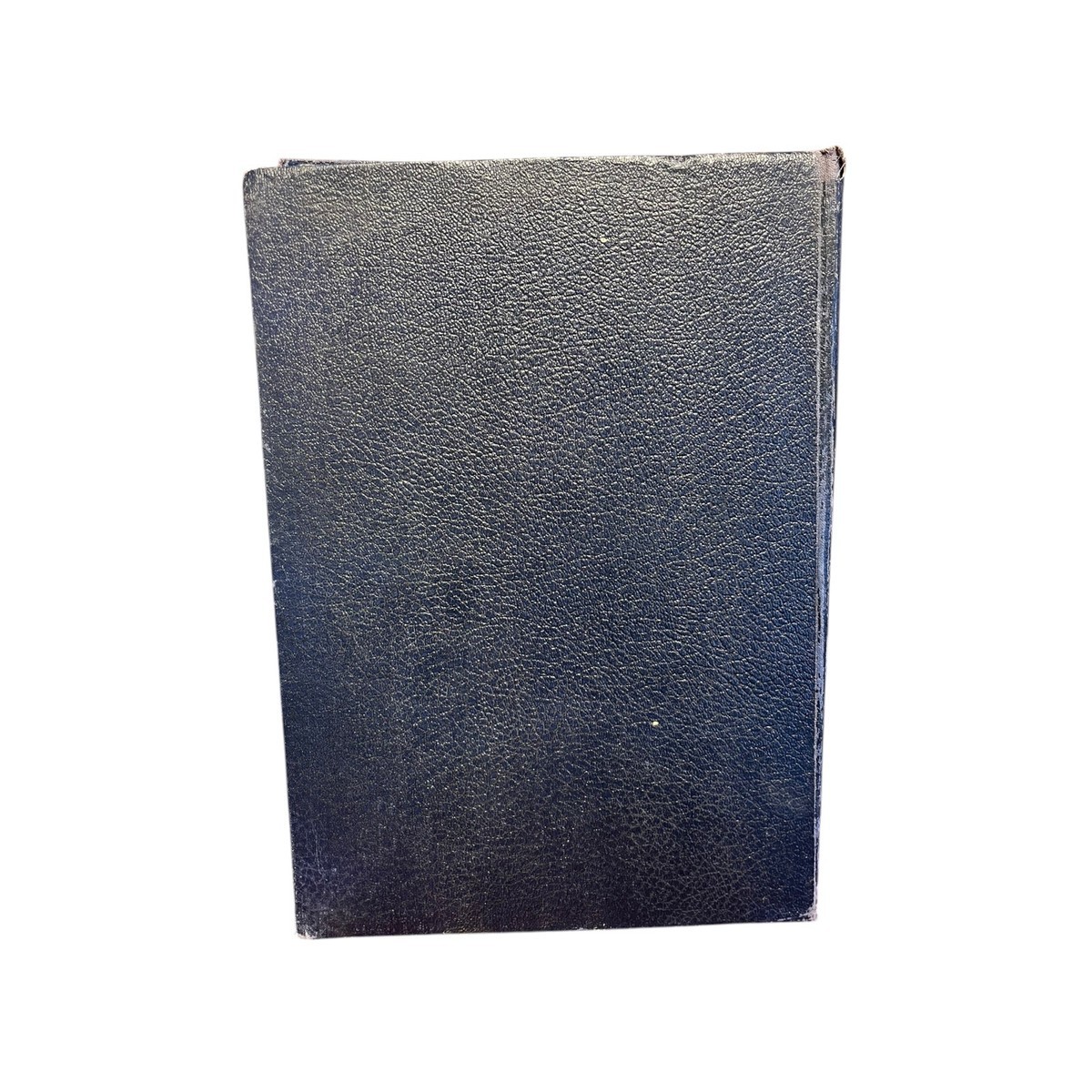 The Bible in Pictures by Gustave Doré