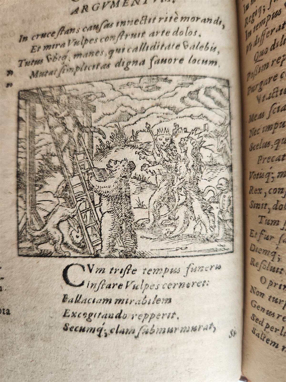 1595 REYNARD the FOX in LATIN illustrated by Jost Amman & Virgil Solis ANTIQUE