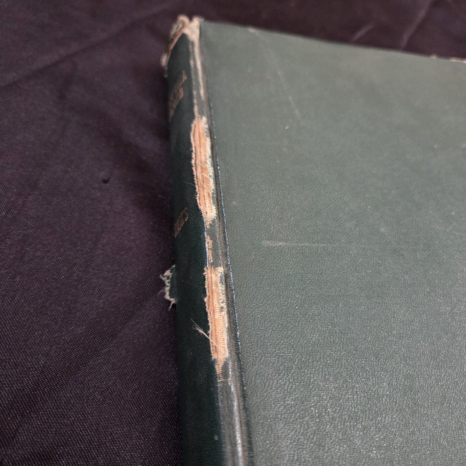 1938 Lazy Liza Lizard Marie Curtis Rains Illustrated HC Ex-Library
