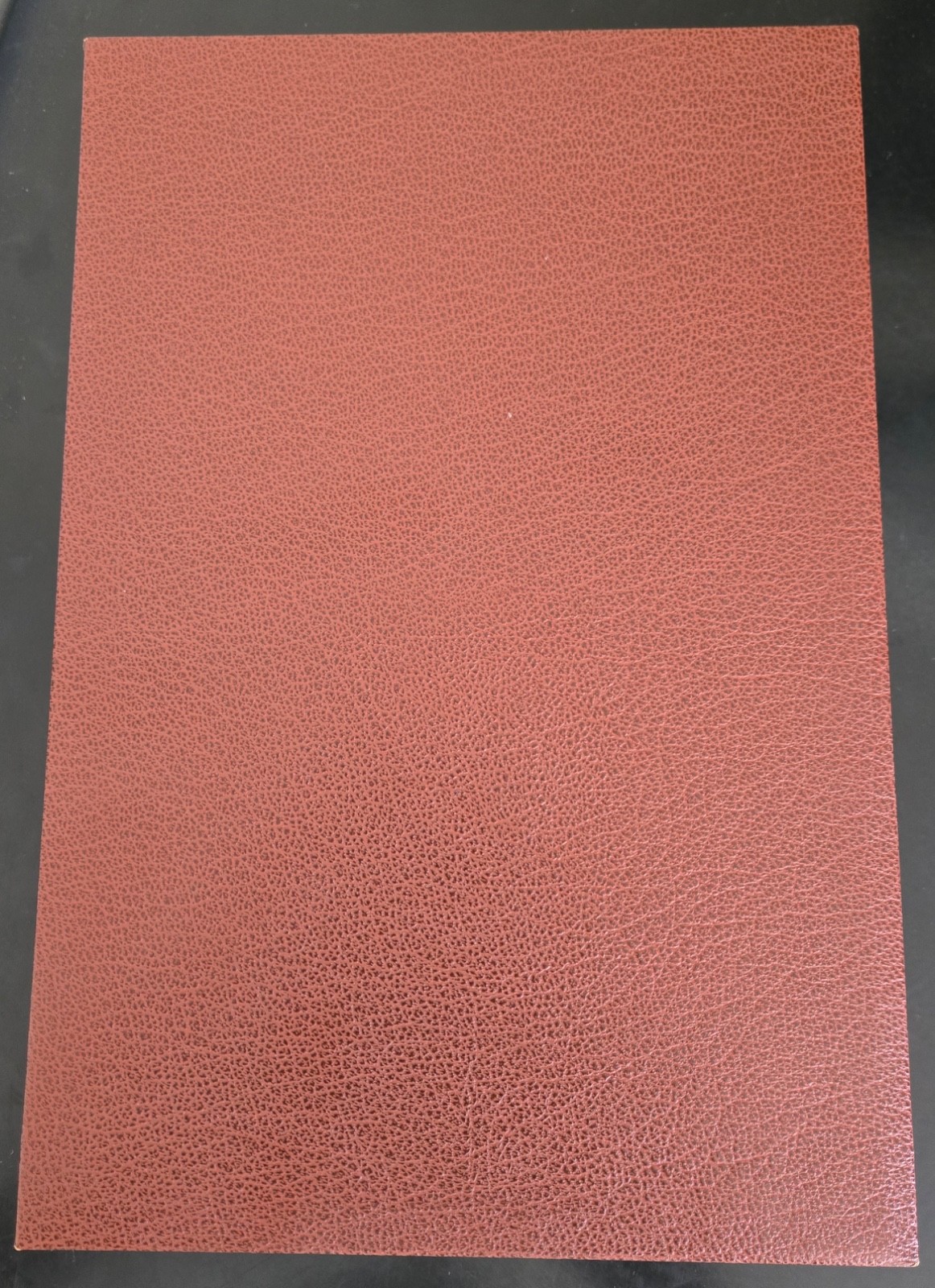 Joan Samson The Auctioneer HC Suntup Signed Limited edition Artist Book NEW OOP