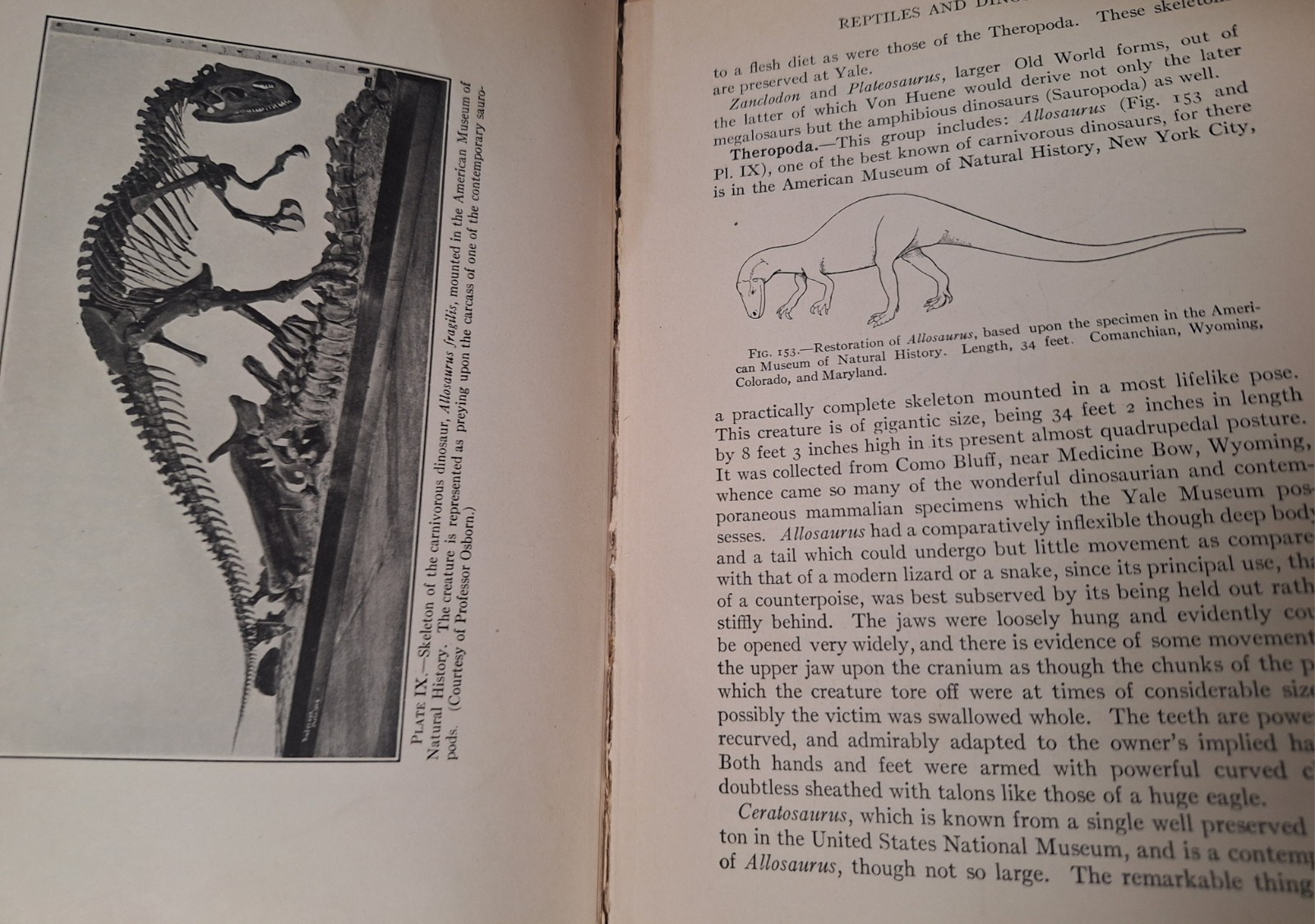 Signed Organic Evolution, Richard Swann Lull, 1921 hardcover Science