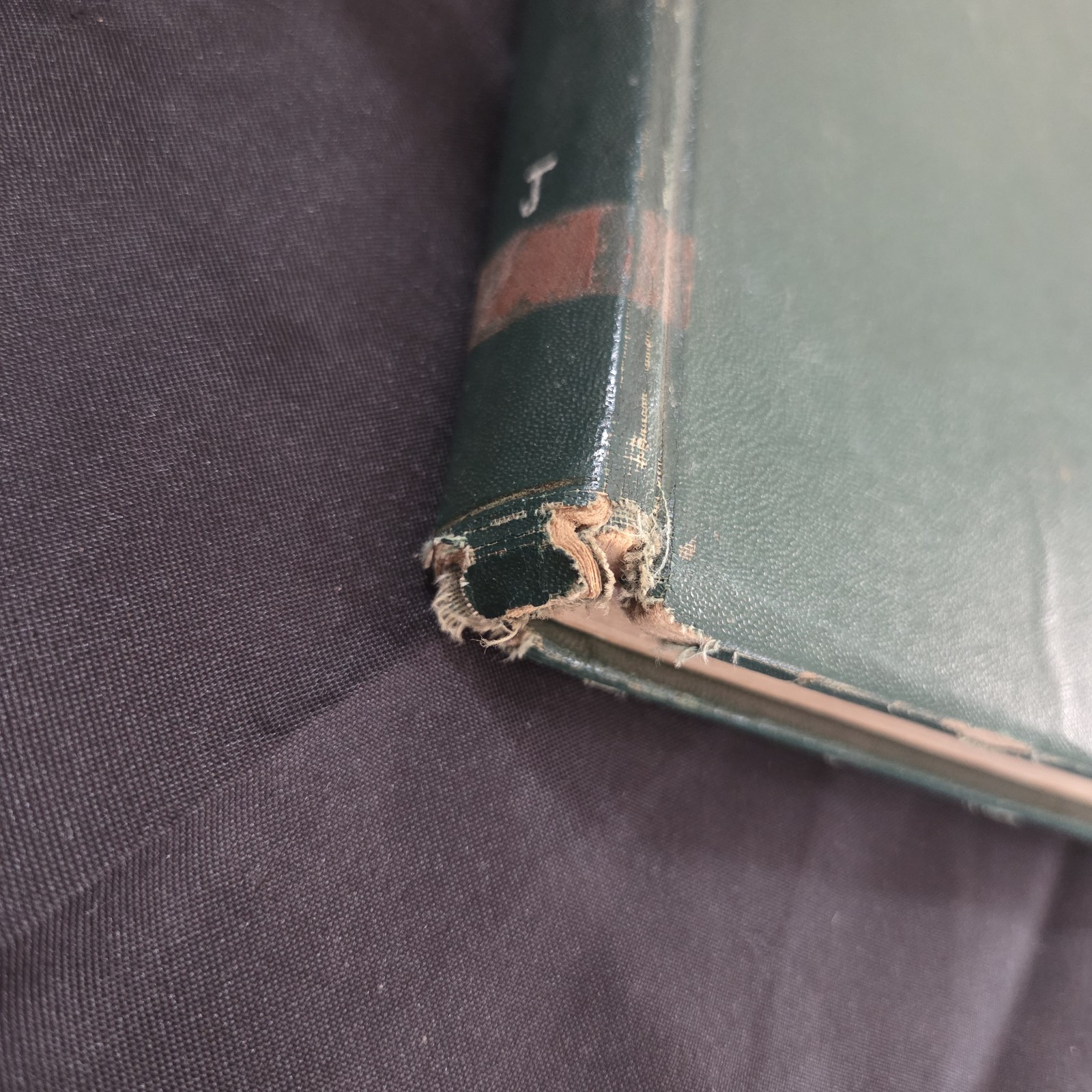 1938 Lazy Liza Lizard Marie Curtis Rains Illustrated HC Ex-Library