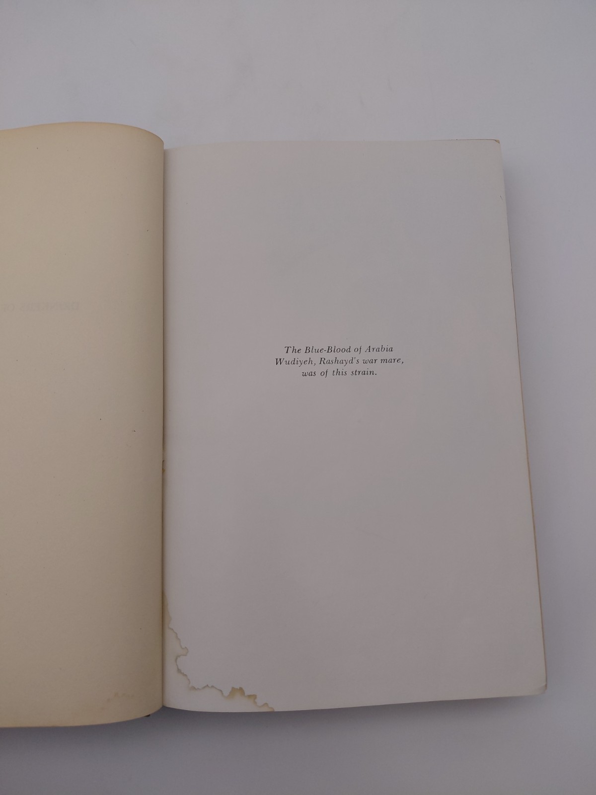 Drinkers of the Wind, Carl R Raswan, Hardcover, 1942, 9th Printing, Creative Age