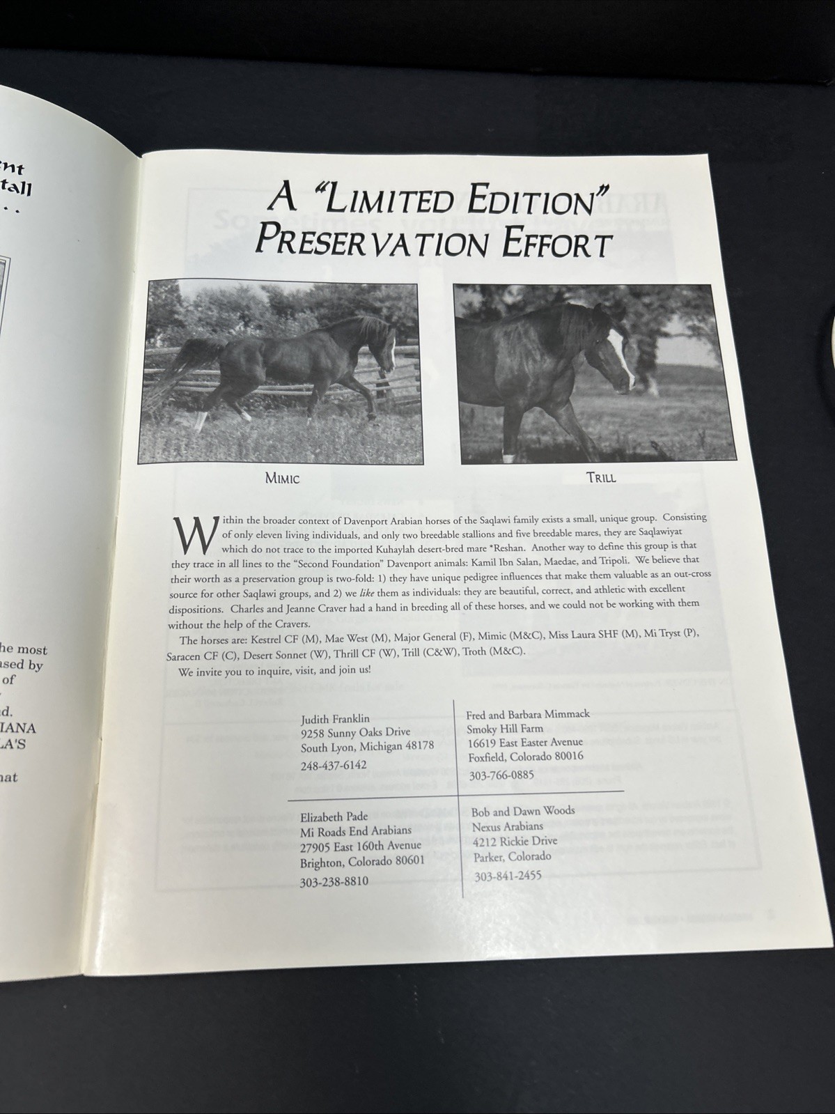 Arabian Visions Magazine Horse Summer 1999 Vintage Northwest CMK AL Khamsa