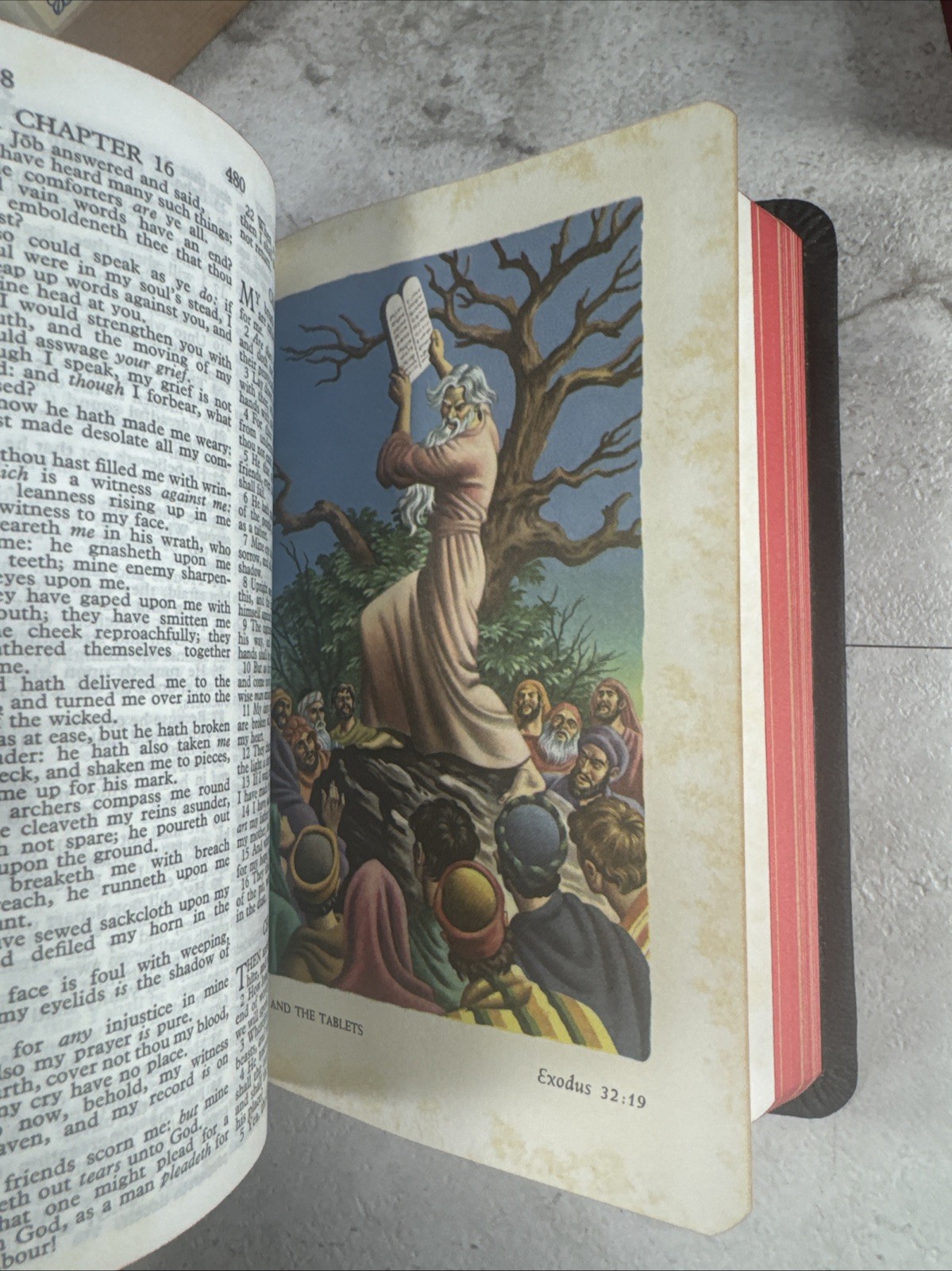 1960s The Holy Bible KJV Illustrated World Publishing Young Folks’ Text w/box