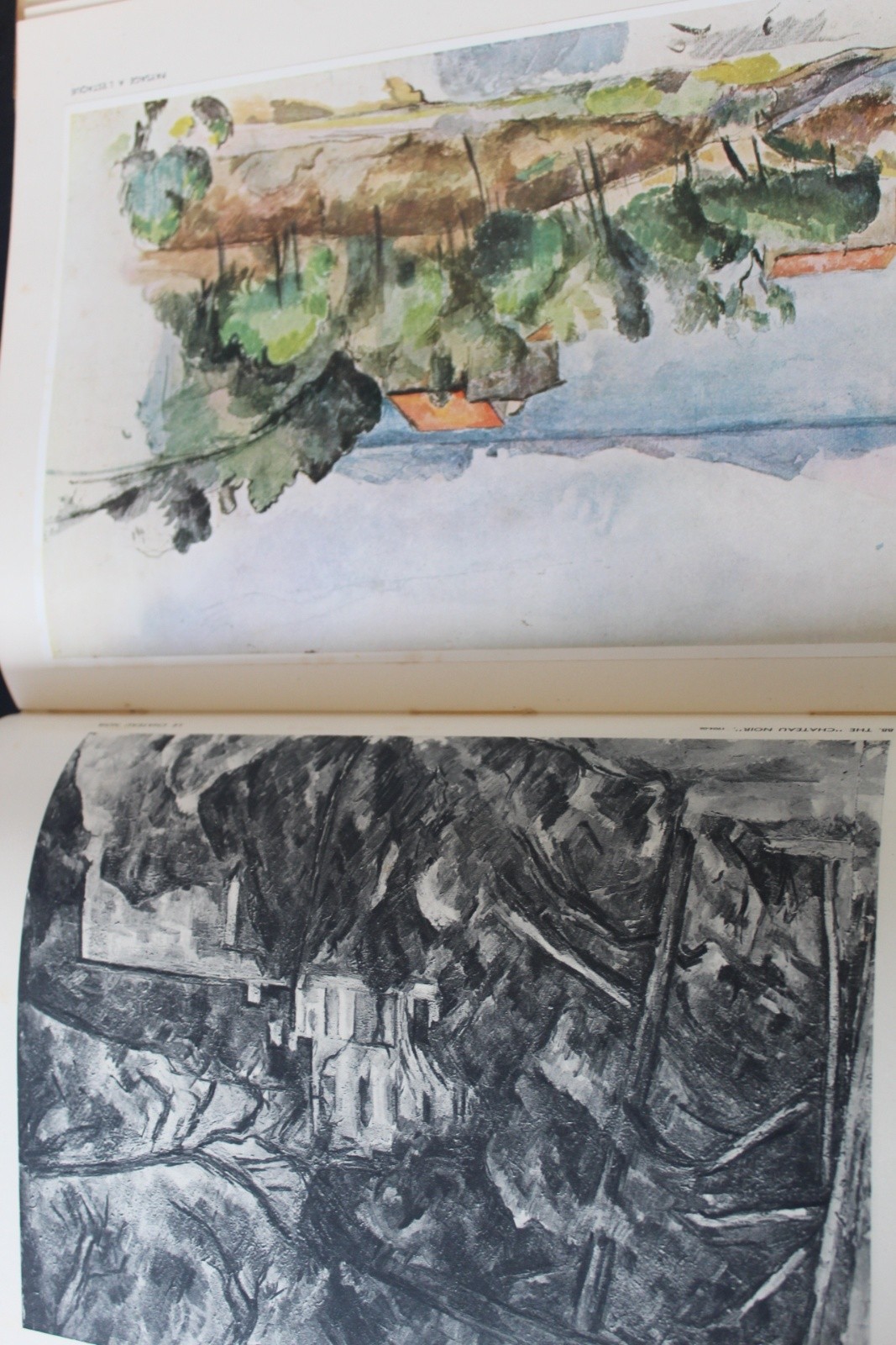 Cézanne Phaidon Art History Book – 113 Plates 18 In Full Color Vintage Hardback