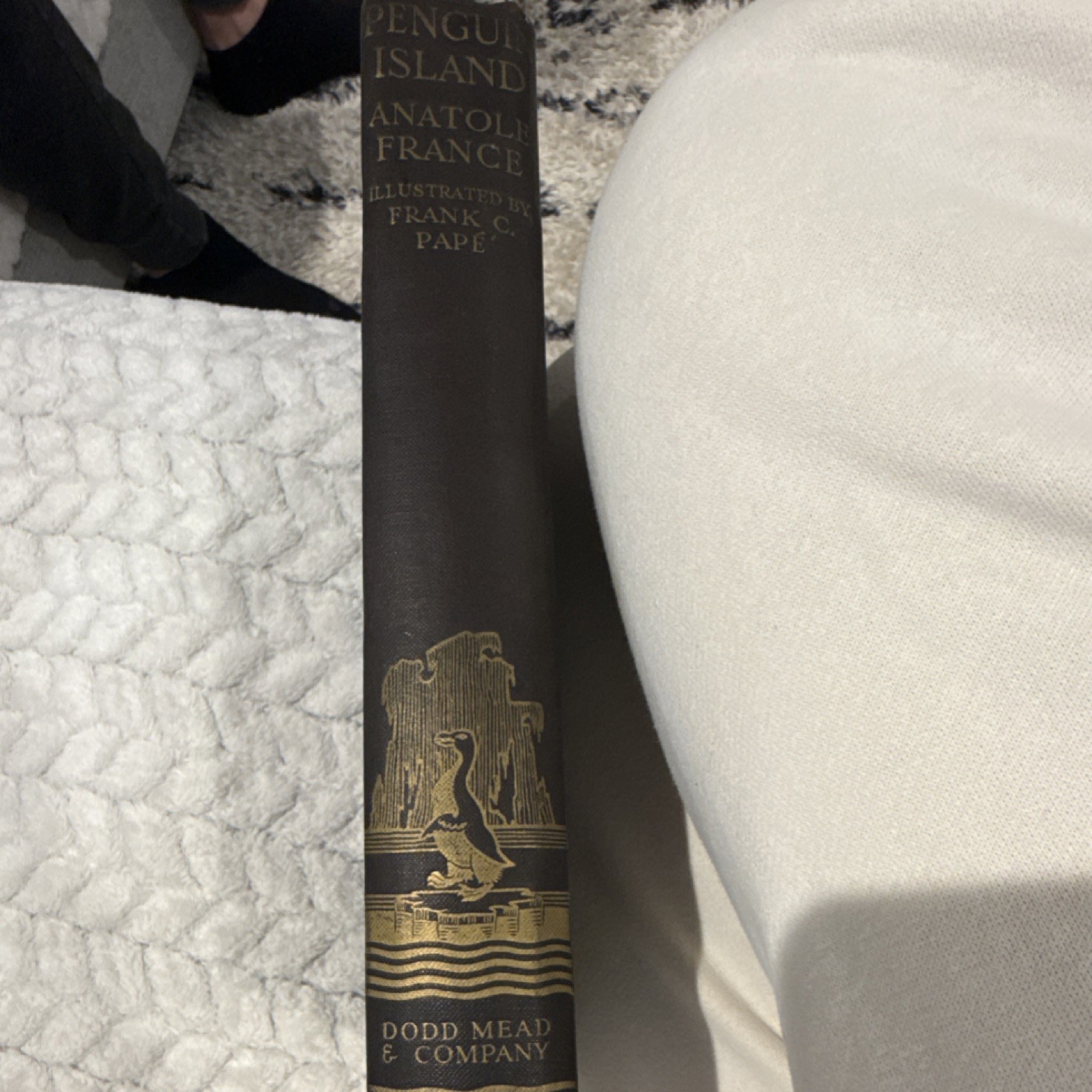 Anatole France Penguin Island Illustrated Hardcover Dodd Mead Frank C. Papé
