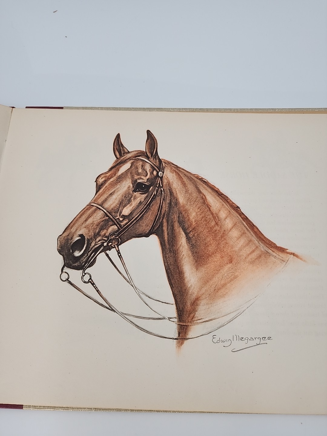 Vintage 1946 Horses – Edwin Megargee Illustrated Oversized Volume Various Breeds
