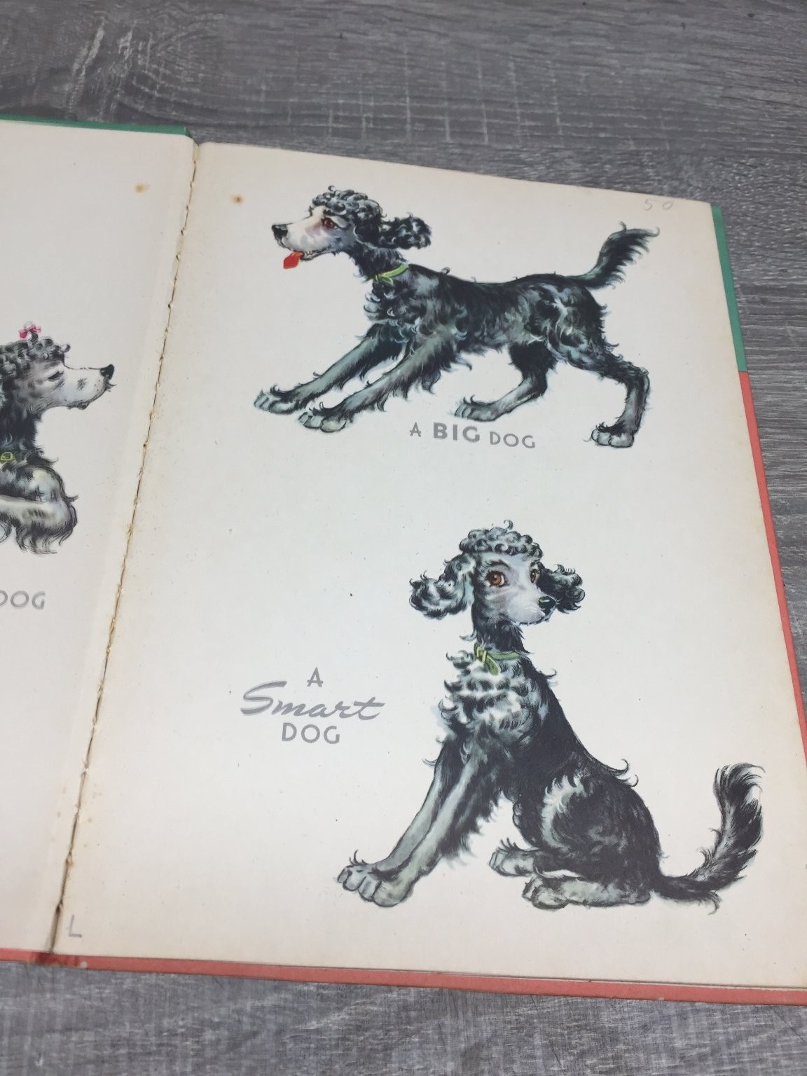WOOFUS The Woolly Dog Jane Curry 1944 Whitman Illustrated Children’s Poodle