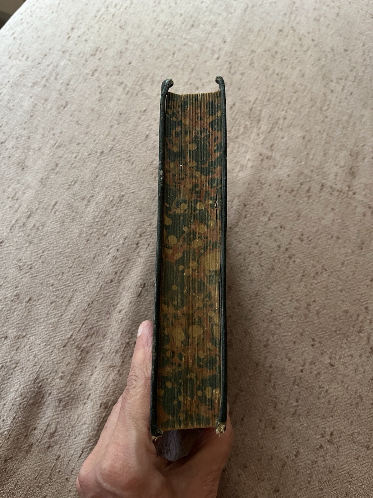The Everyday Cookbook and Encyclopedia of Practical Recipes by Miss E. Neil